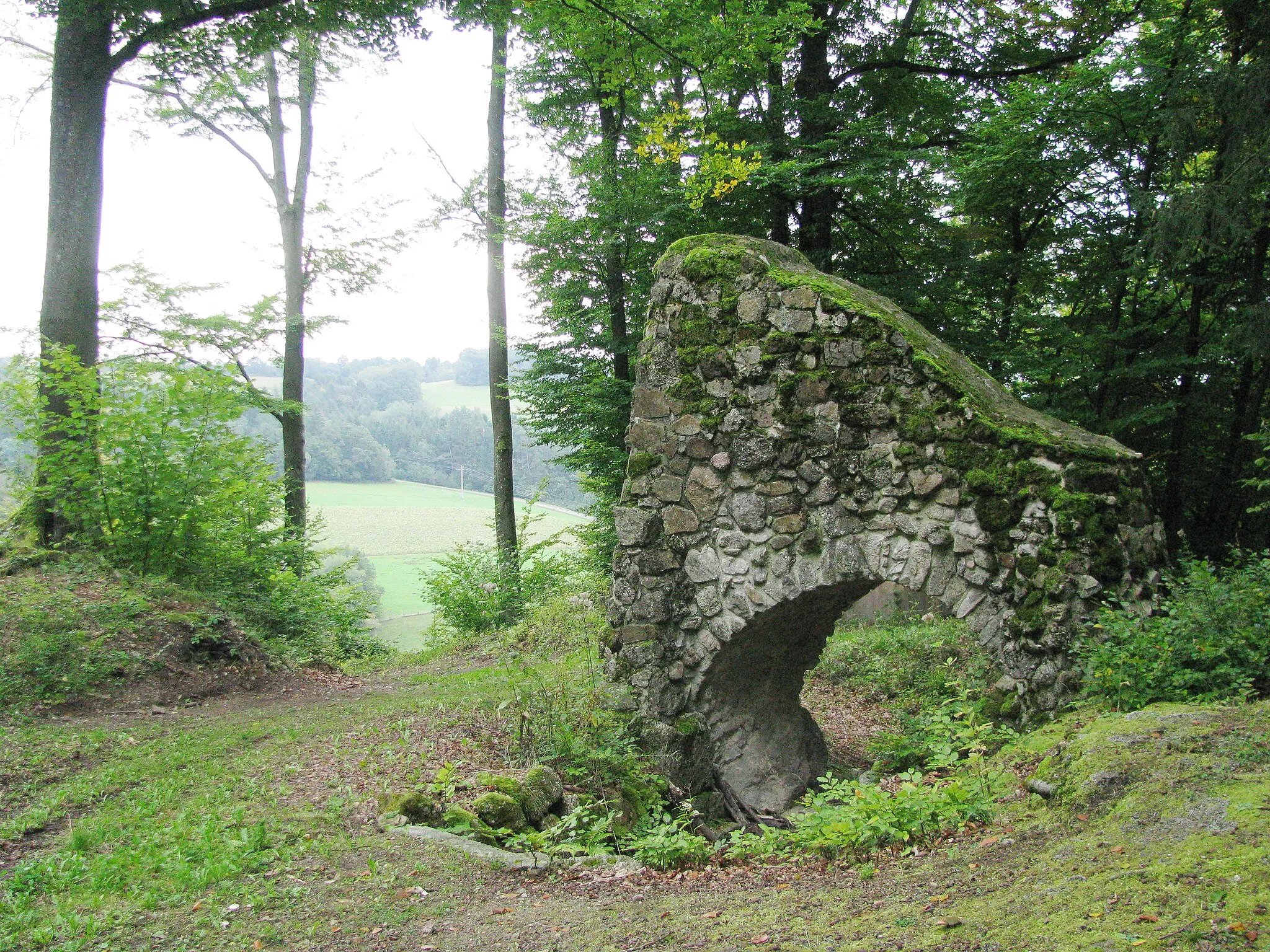 Photo showing: Ruine der Burg Heilsberg