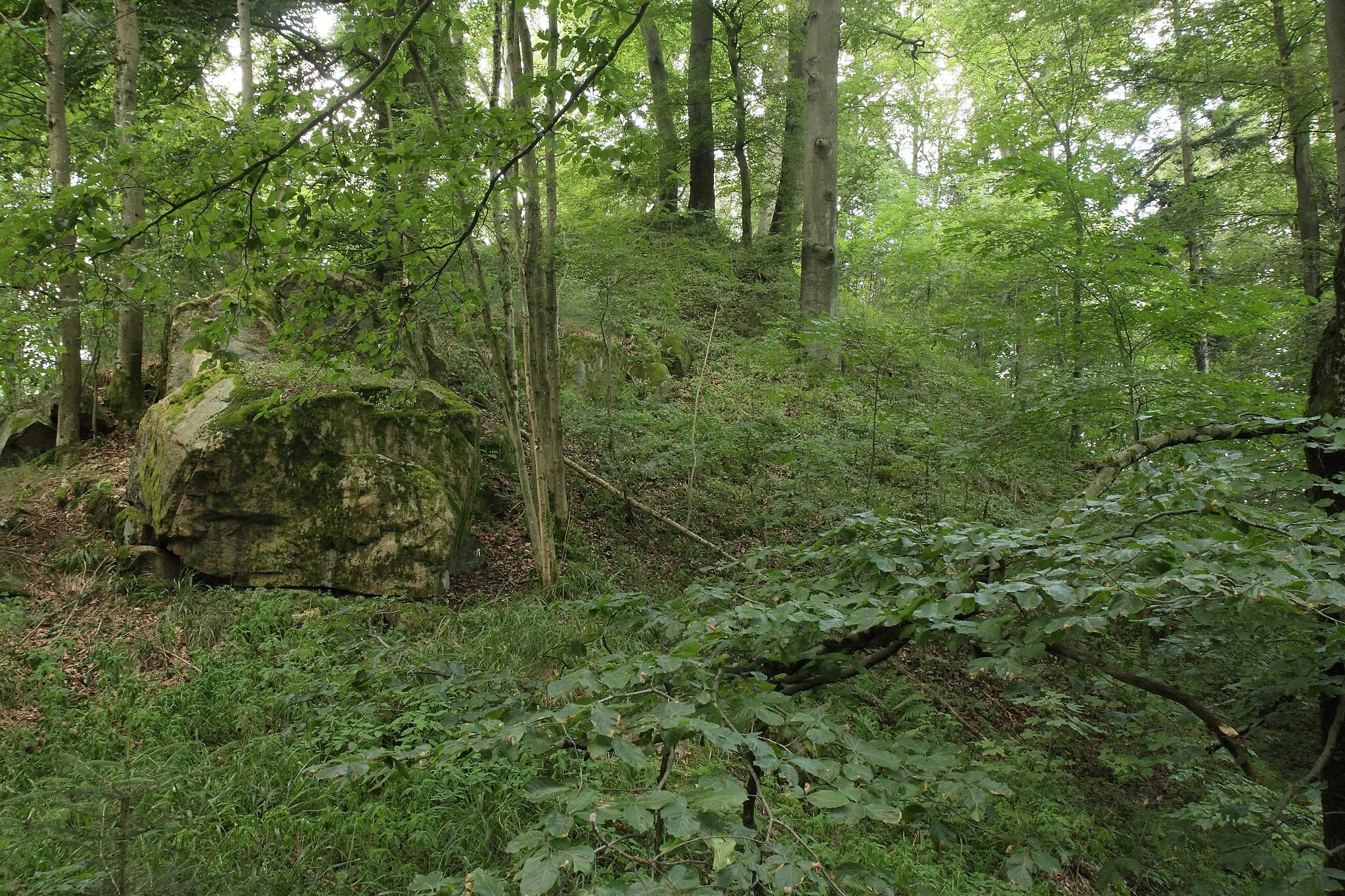 Photo showing: Burgstall Warberg - Ansicht des östlichen Hügels, wohl der Standort eines turmförmigen Gebäudes