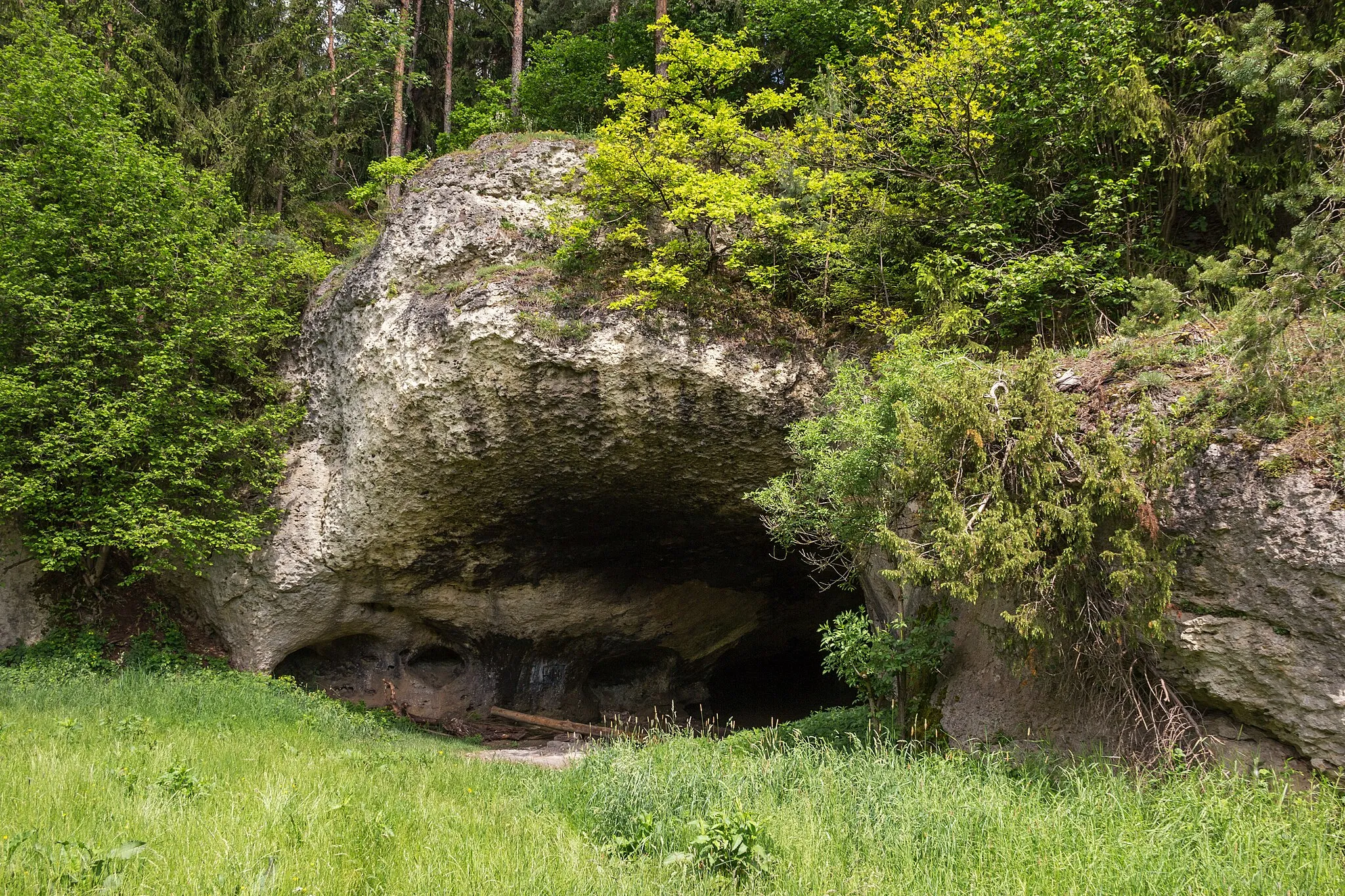 Photo showing: Felslindl, Eingang, Karsthöhle, Geotop, Naturdenkmal, Naturpark Fränkische Schweiz-Veldensteiner Forst, Auerbach i.d.OPf.