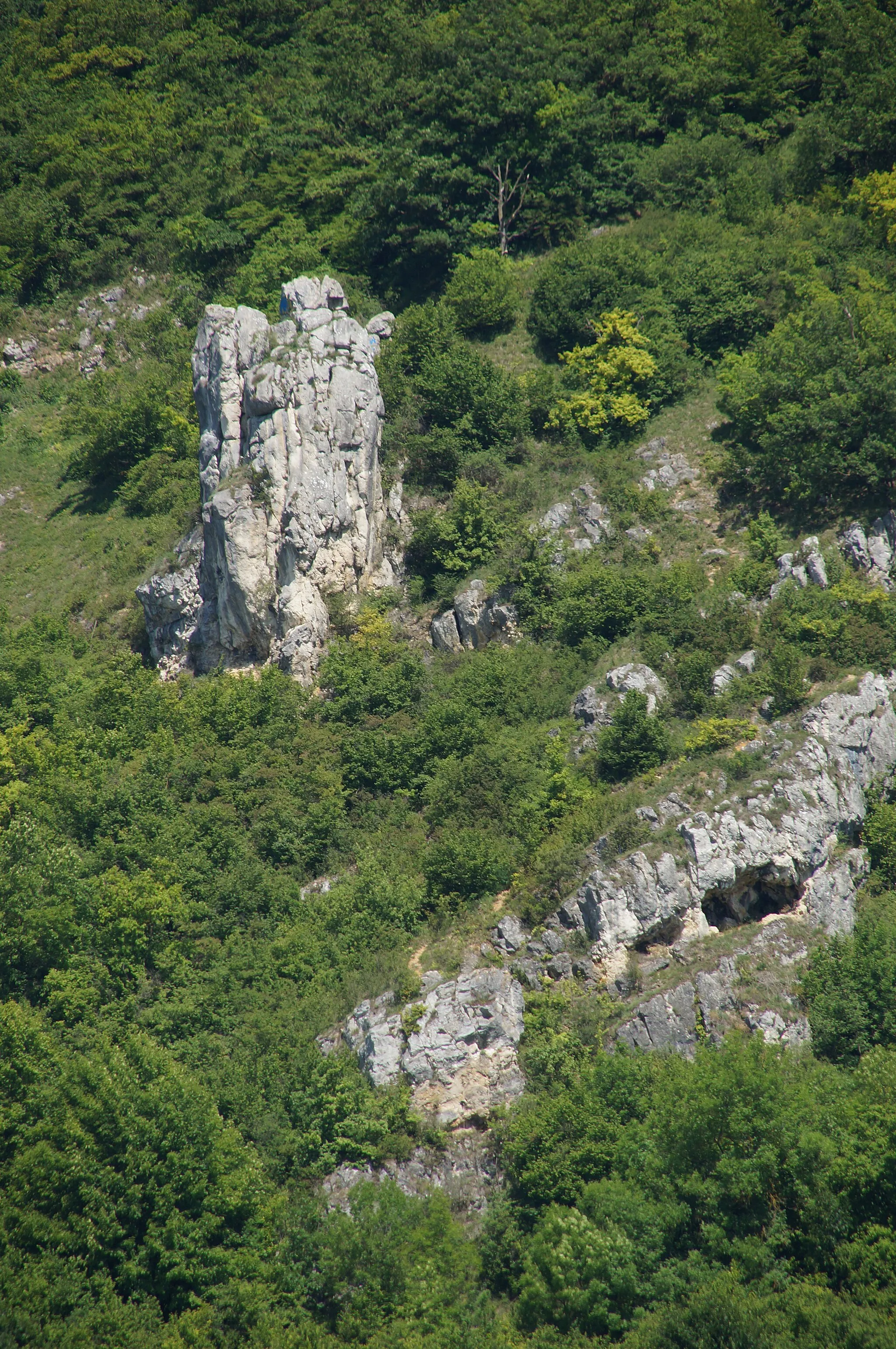 Photo showing: Felsformation im Naturschutzgebiet "Am Keilstein" oberhalb von Schwabelweis, Regensburg