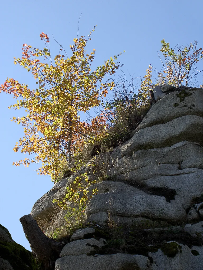 Photo showing: Granite rocks in the Steinwald.