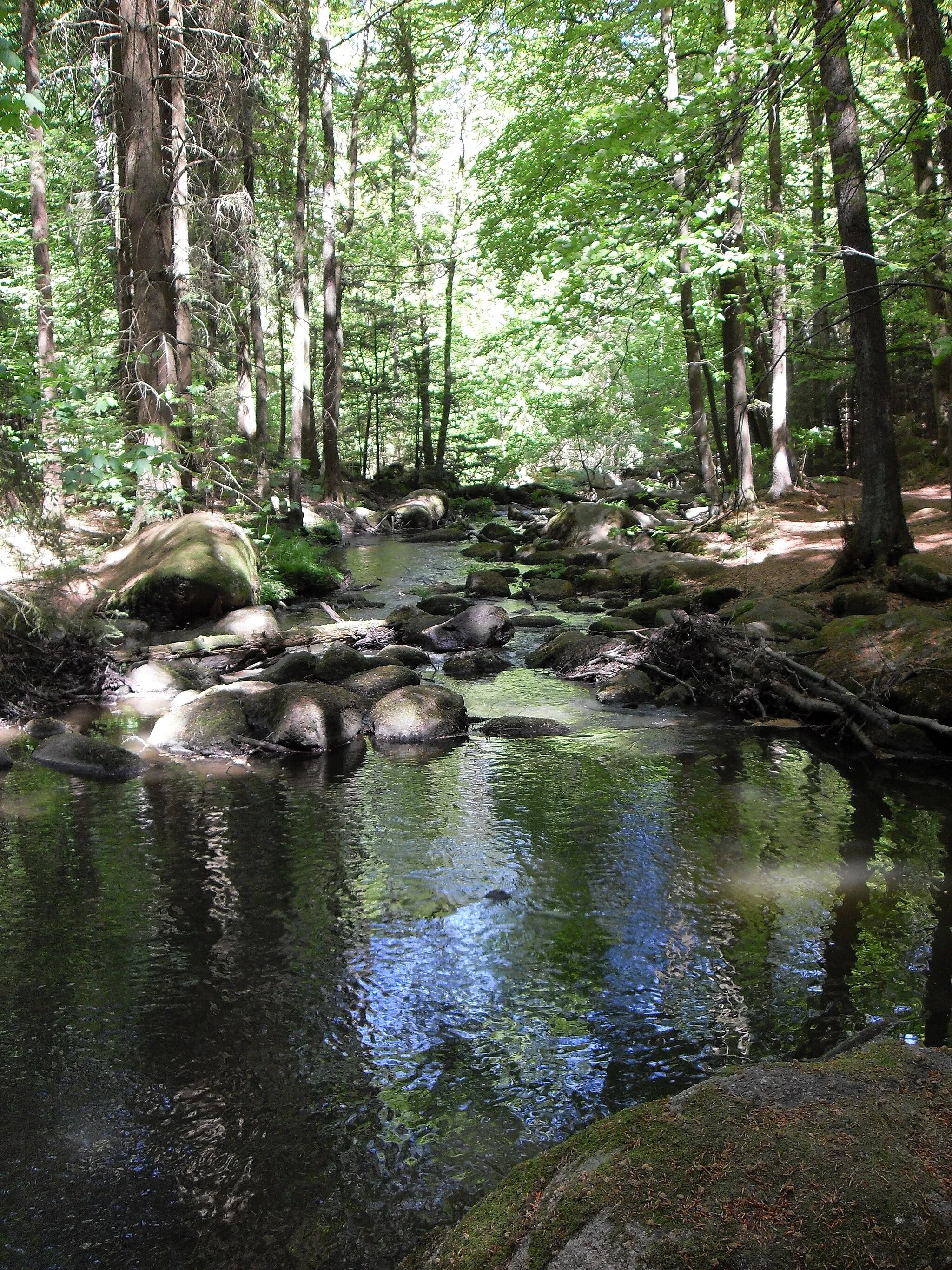 Photo showing: der Höllbach im bayerischen NSG Hölle, Mai 2011