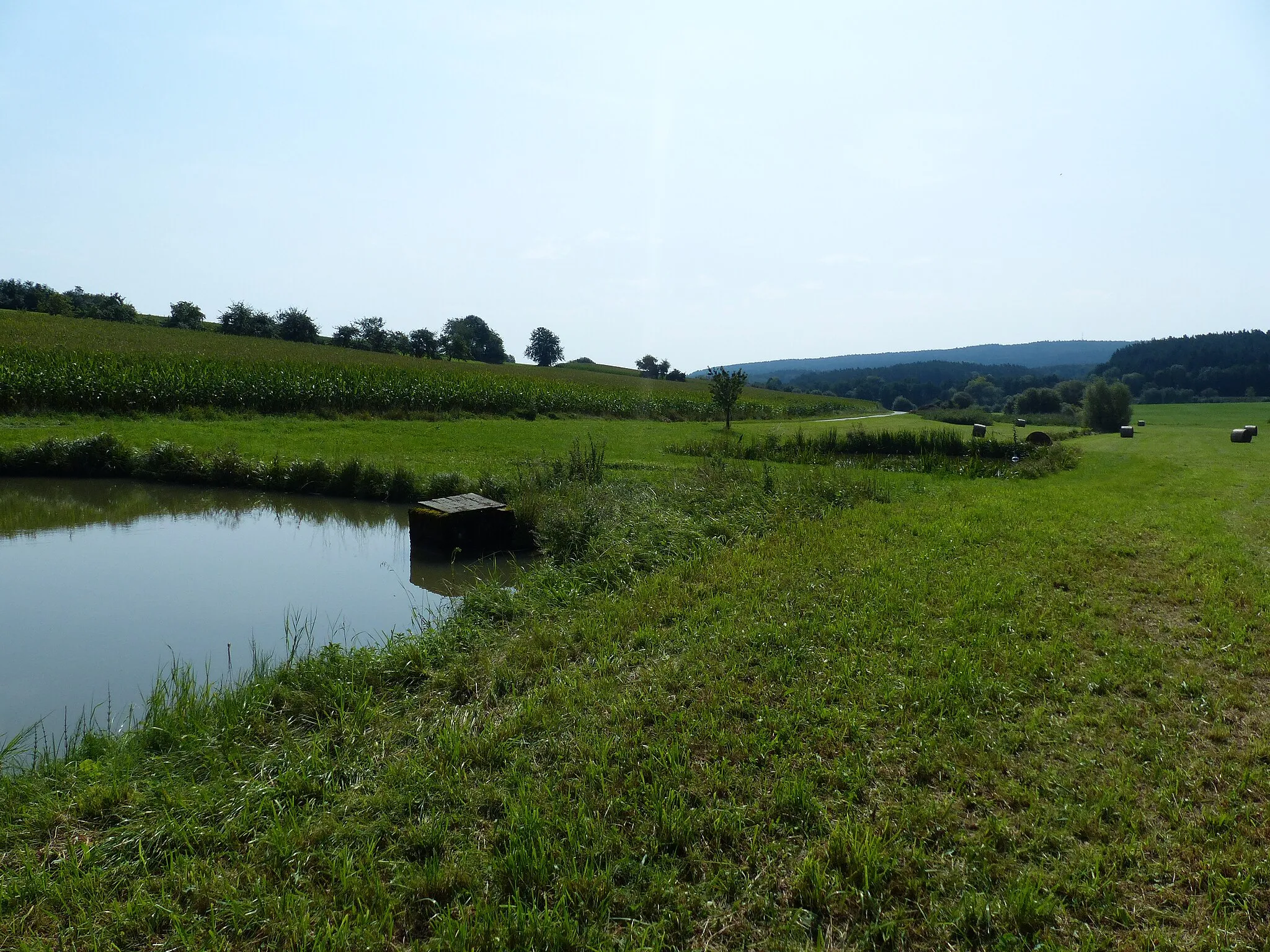 Photo showing: Ansicht von Altencreußen, Dorfteiche im Quellbereich der Creußen