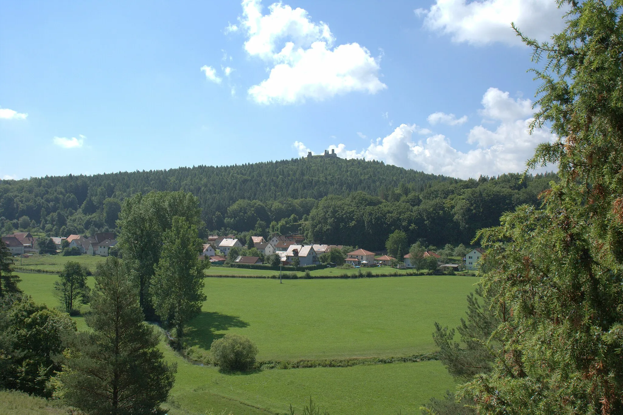 Photo showing: Burgruine Hohenburg aus nördlicher Richtung