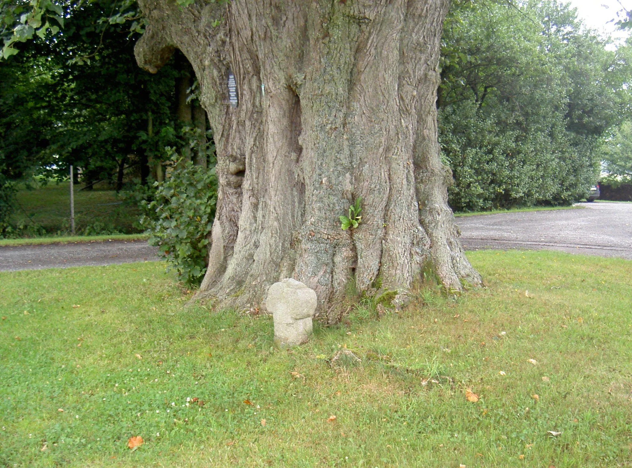 Photo showing: Steinkreuz (Kaltenbaum)