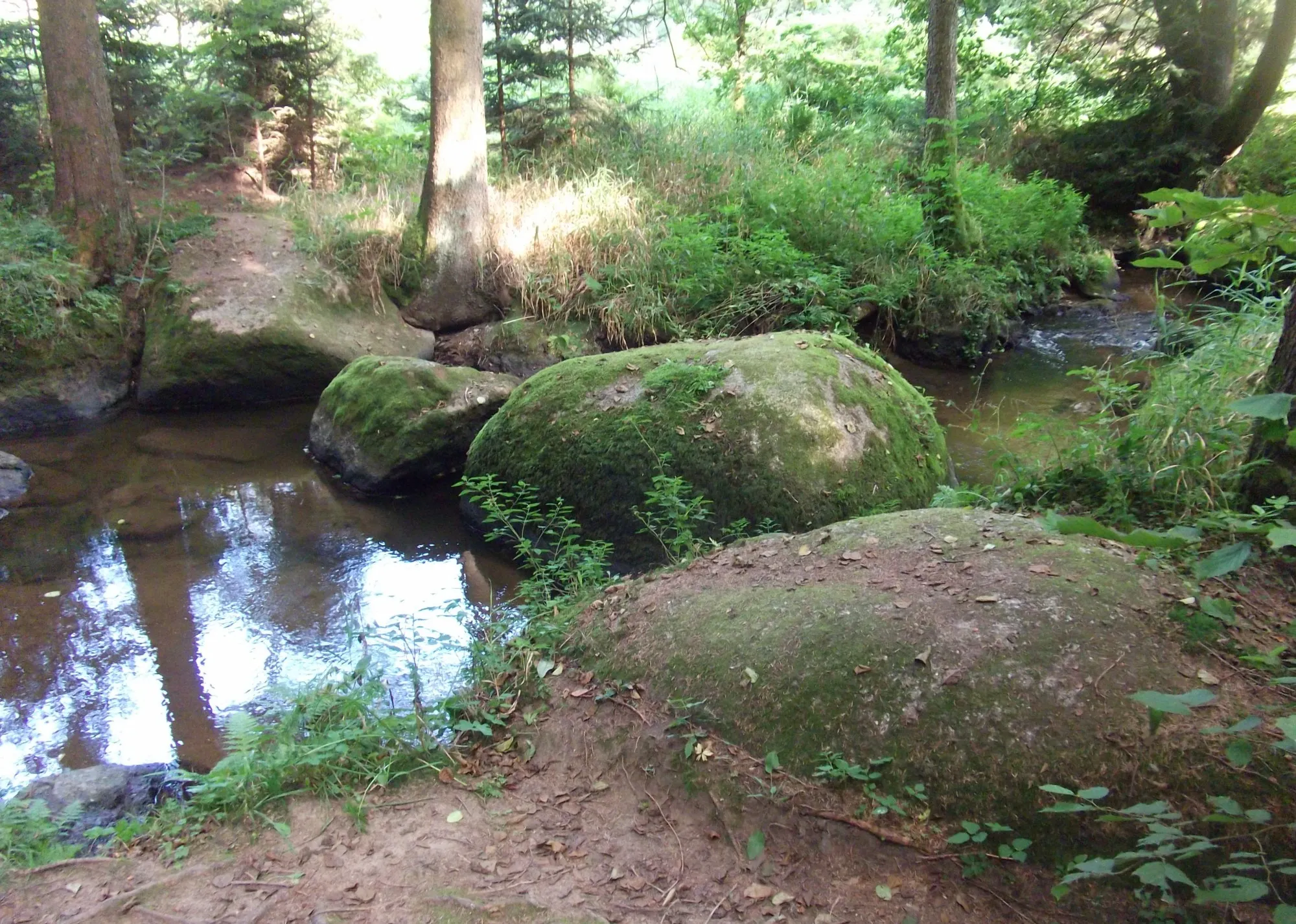 Photo showing: Doost

erster Versuch der zahllosen Felsbrocken, den Fluss der Girnitz aufzuhalten