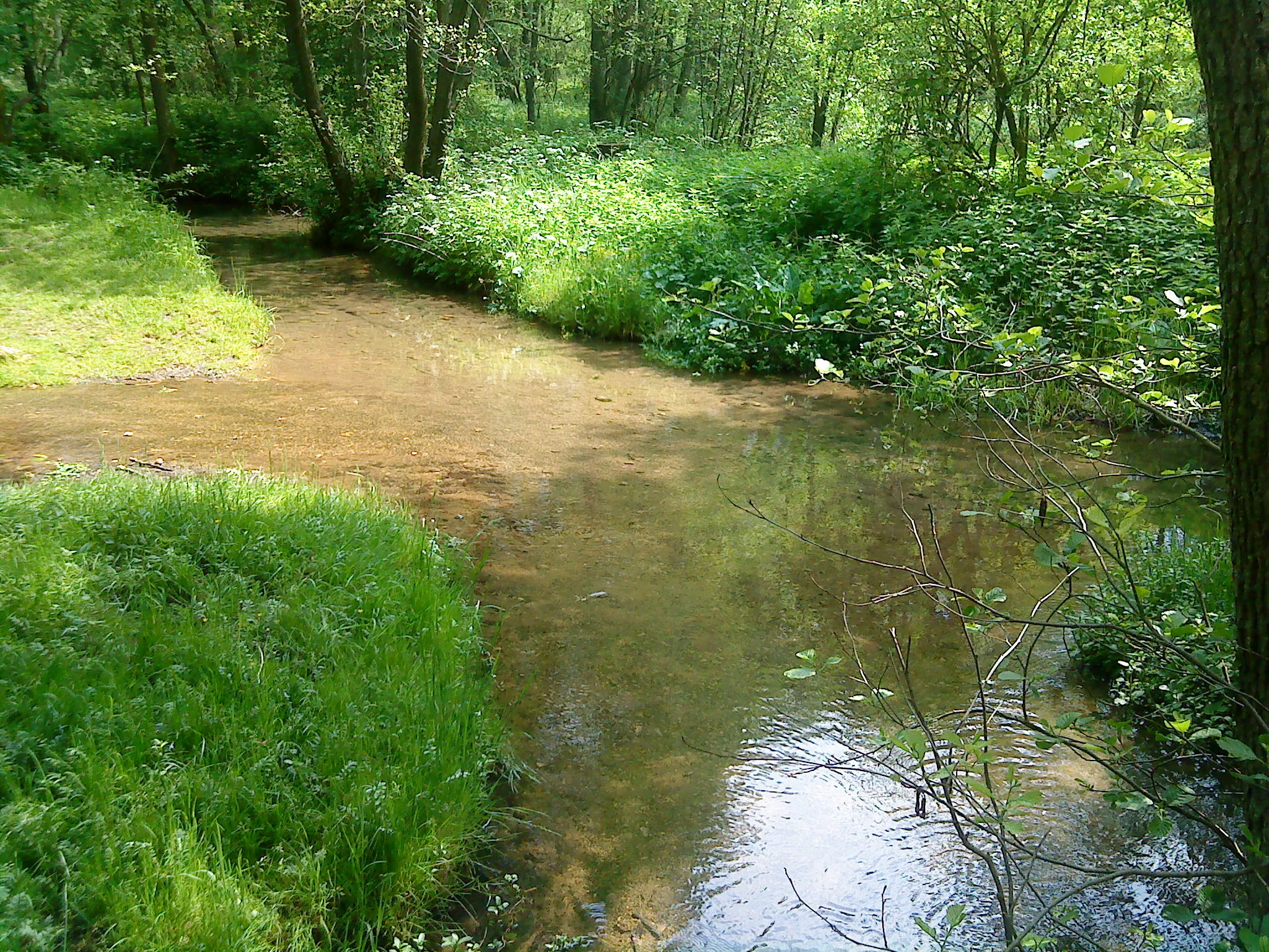 Photo showing: Der Breitenbrunner Bach an den Sieben Quellen