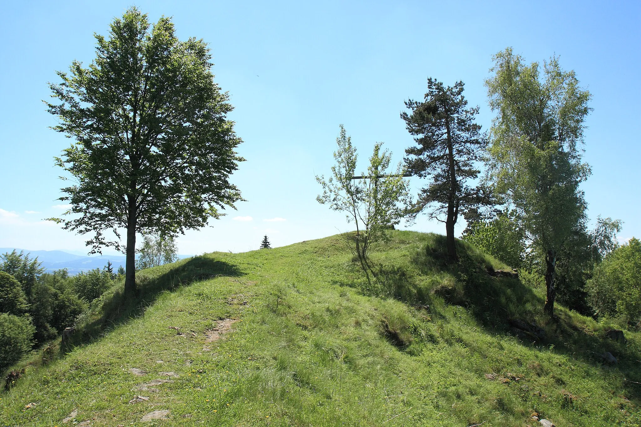 Photo showing: Die höchste Stelle der Oberburg von Burg Altenschneeberg