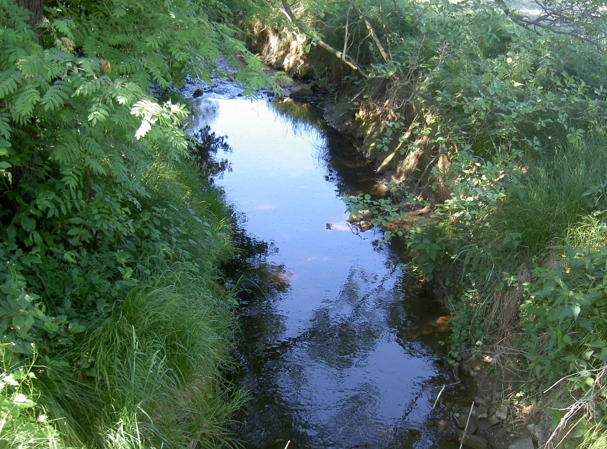 Photo showing: Leraubach bei Kößlmühle