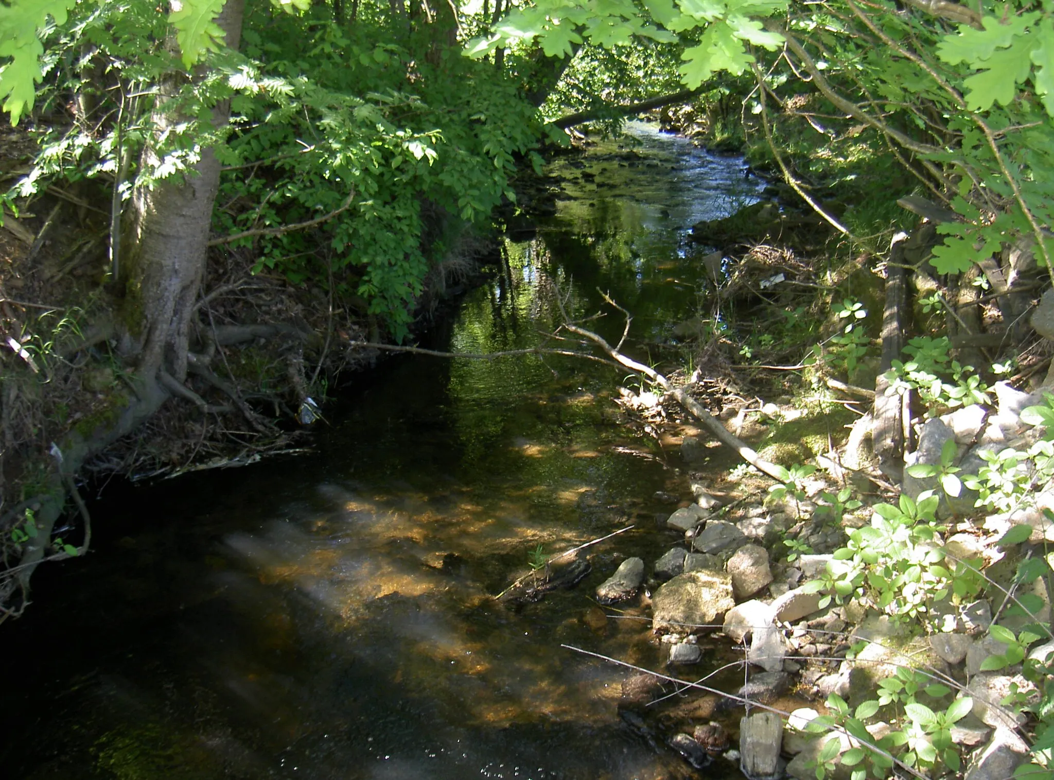 Photo showing: Leraubach bei Kößlmühle