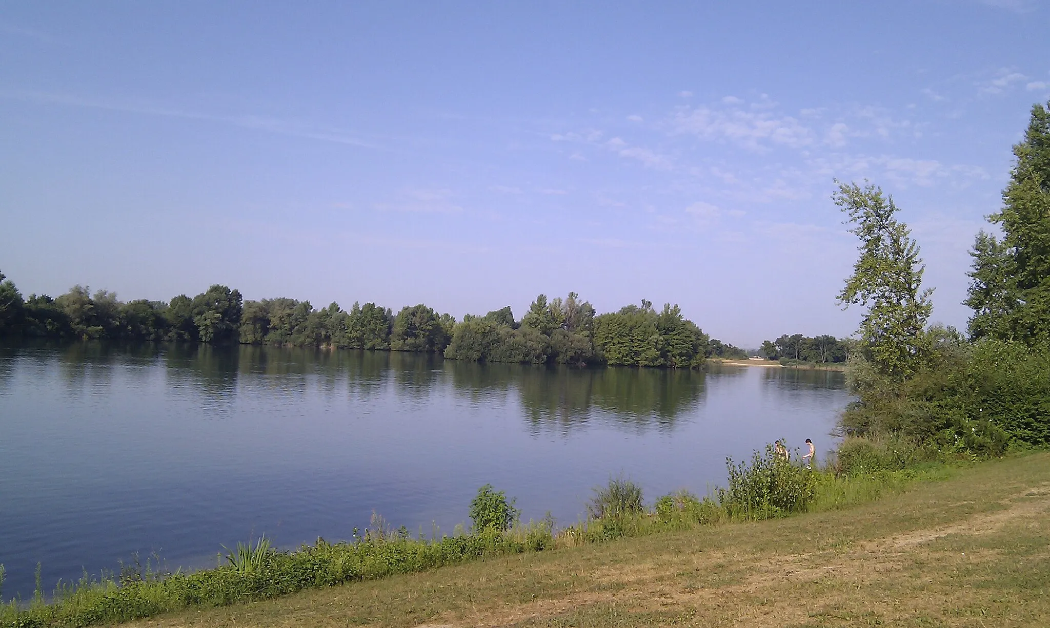 Photo showing: Blick vom Nordostufer des Sarchinger Weiher Richtung Westen auf die Insel in der Seemitte