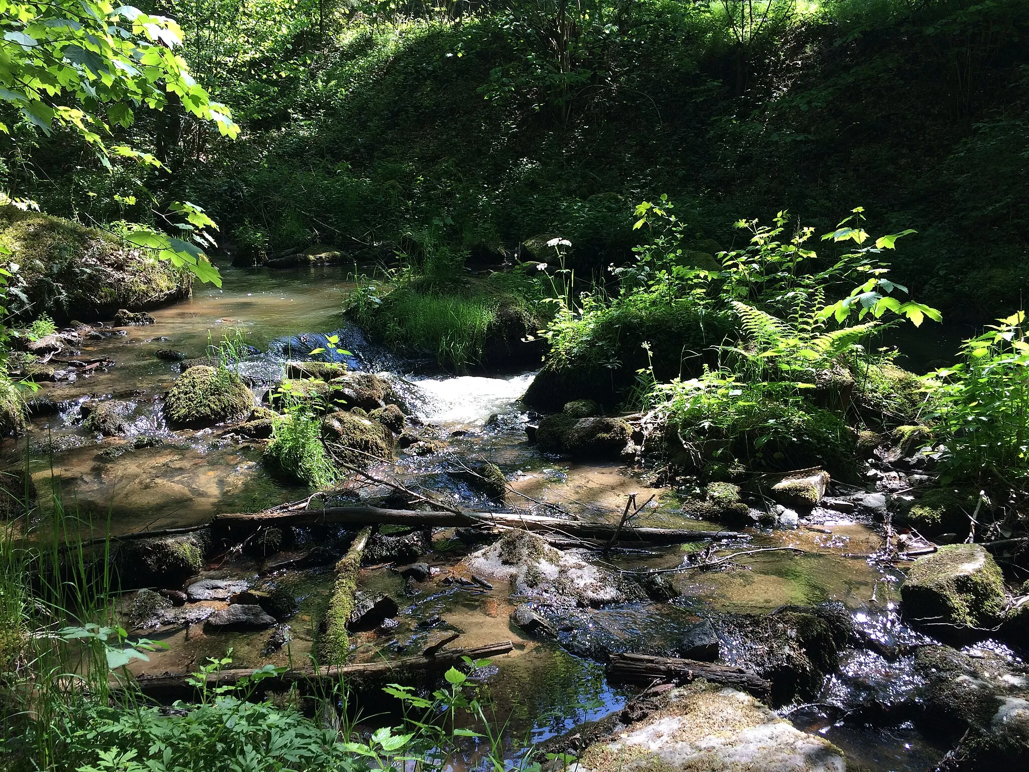 Photo showing: Photograph of the Otterbach near Donaustauf in Bavaria, Germany