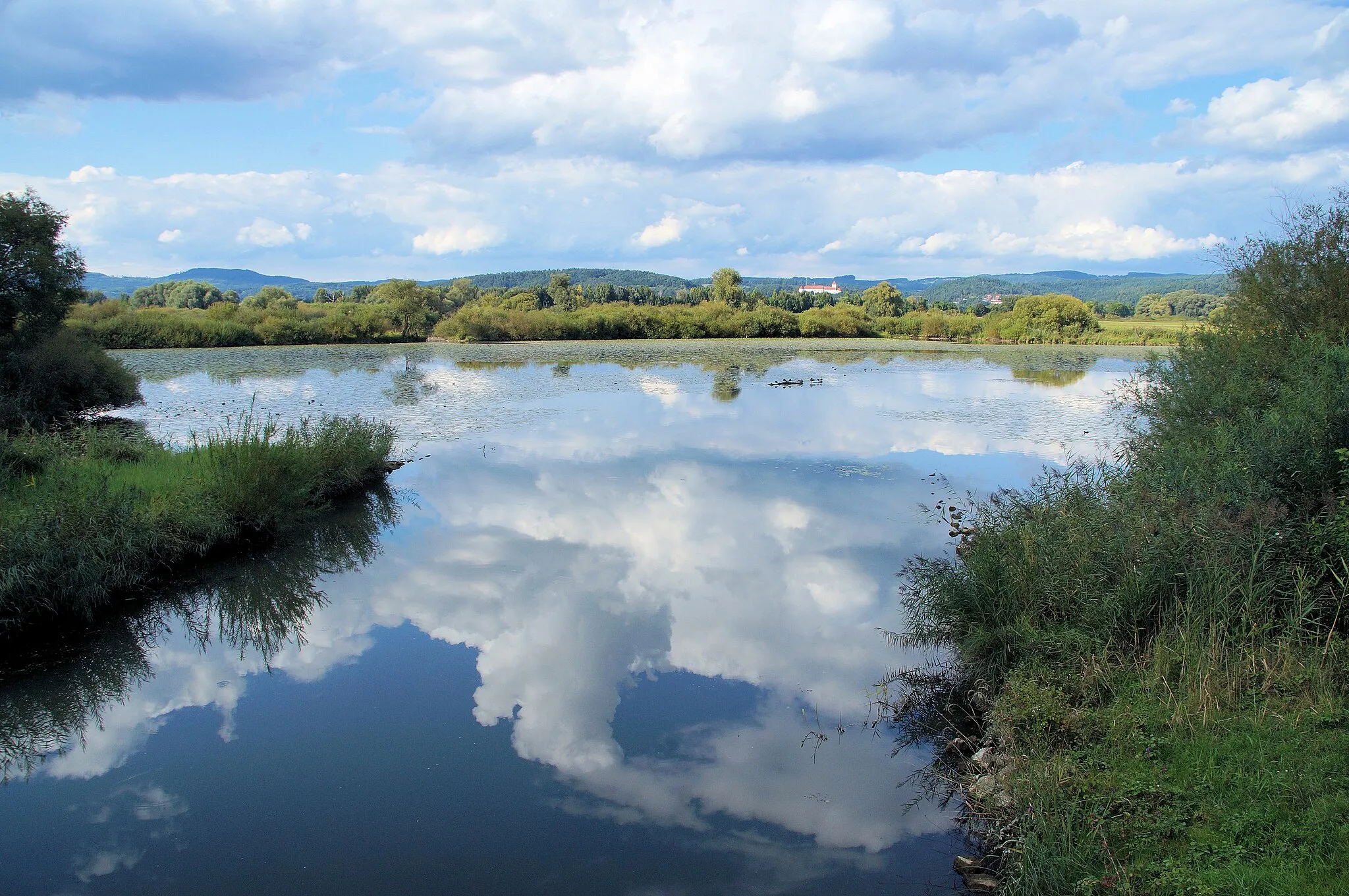 Photo showing: Nature reserve "Pfatterer Au", NSG-00411.01, WDPA: 163267,
old fork of the Danube near Pfatter with meadows and woods.