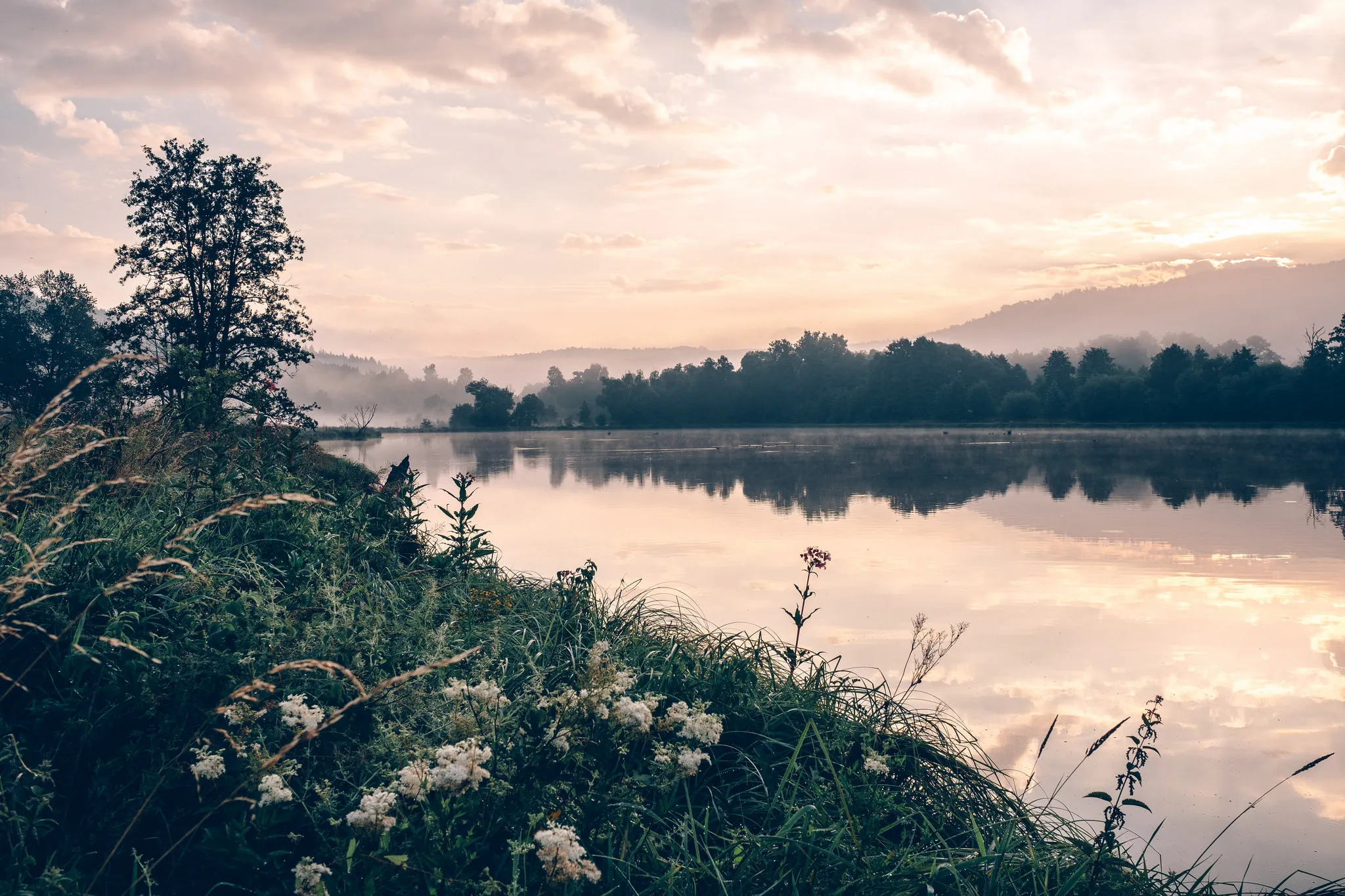 Photo showing: River Regen in evening light