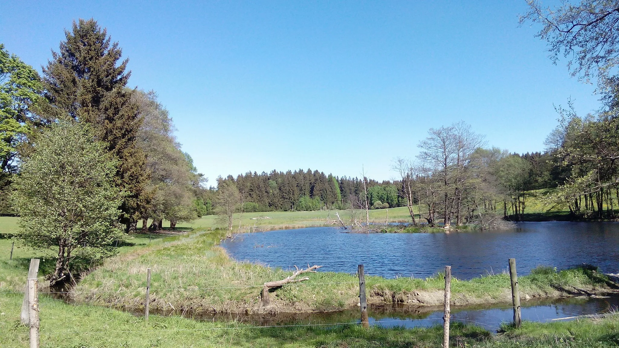 Photo showing: Nový rybník v zaniklé obci Zahájí (Waldheim) u Lesné, okres Tachov.