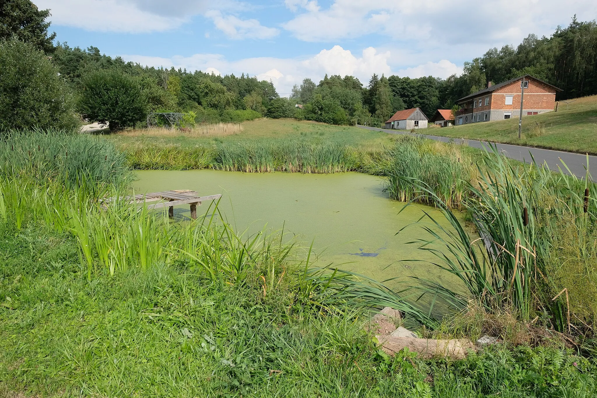 Photo showing: Pond in Untersteinbach, Hirschau-Untersteinbach, district Amberg-Sulzbach, Bavaria, Germany