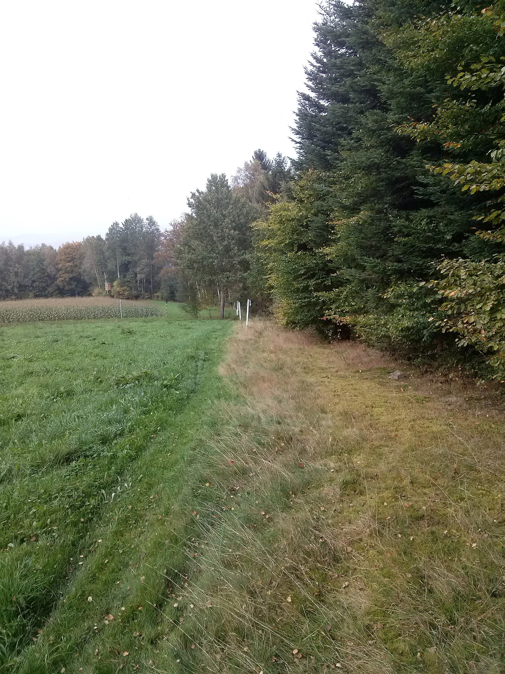 Photo showing: Hraniční přechod Fleky - Hofberg