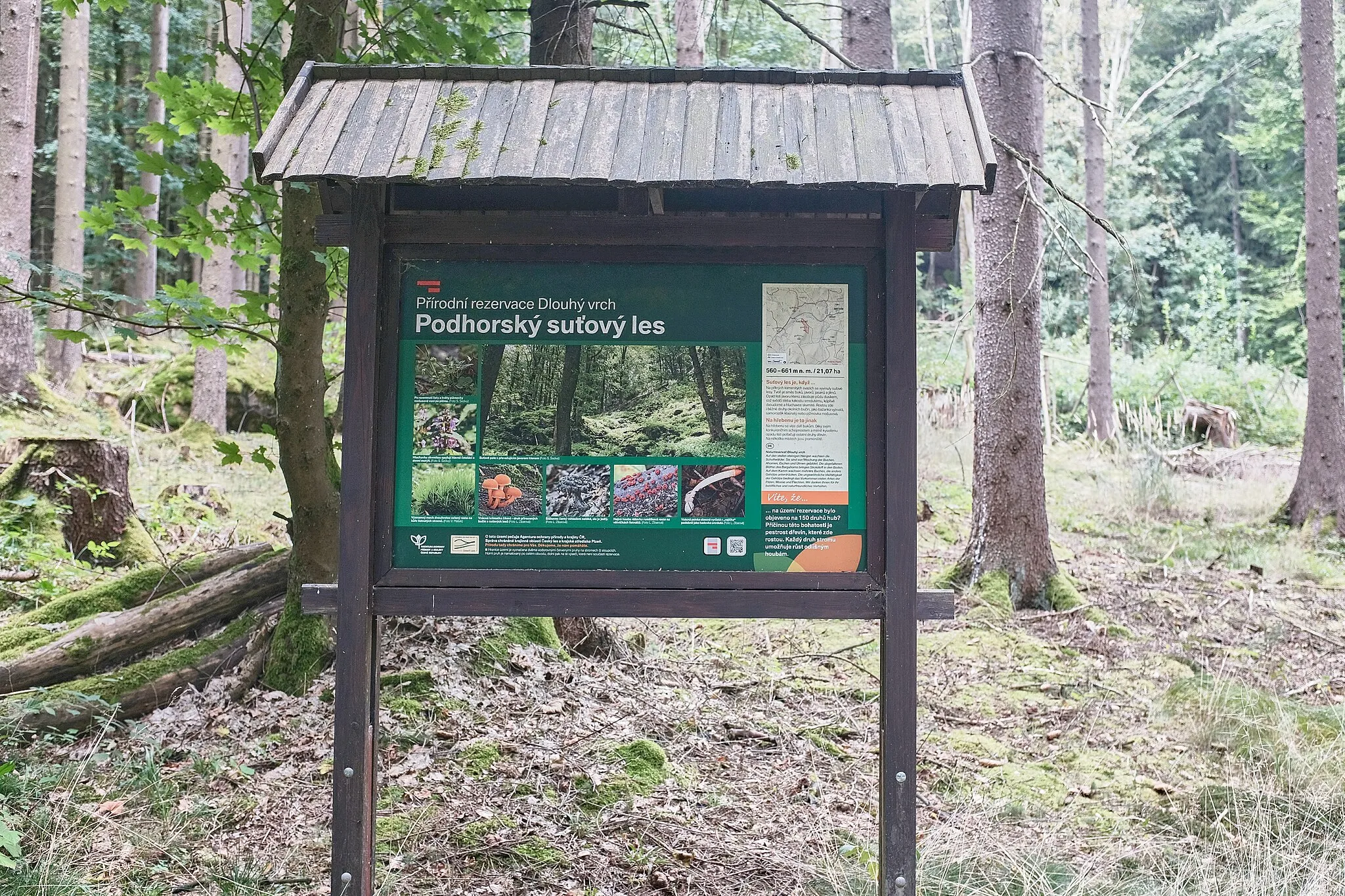 Photo showing: Přírodní rezervace Dlouhý vrch, Bělá nad Radbuzou, okres Domažlice