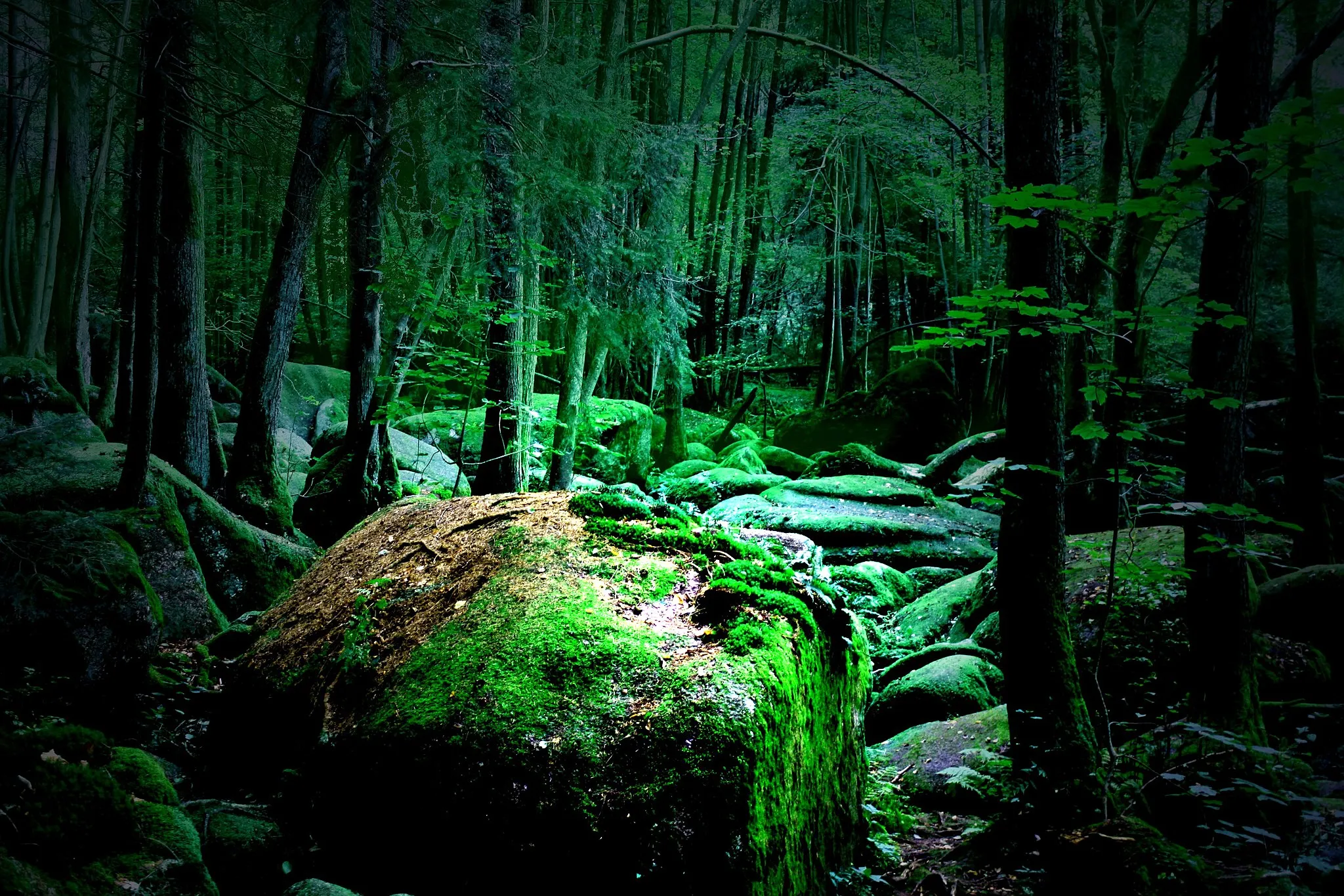 Photo showing: Der Höllbach in Brennberg Oberpfalz