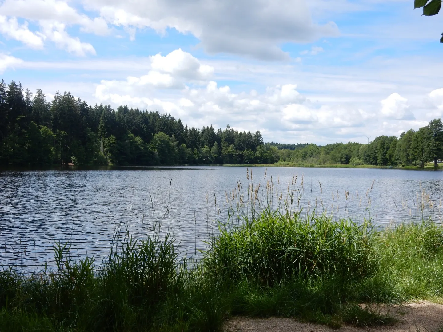 Photo showing: Lake Branka in Czech Republic