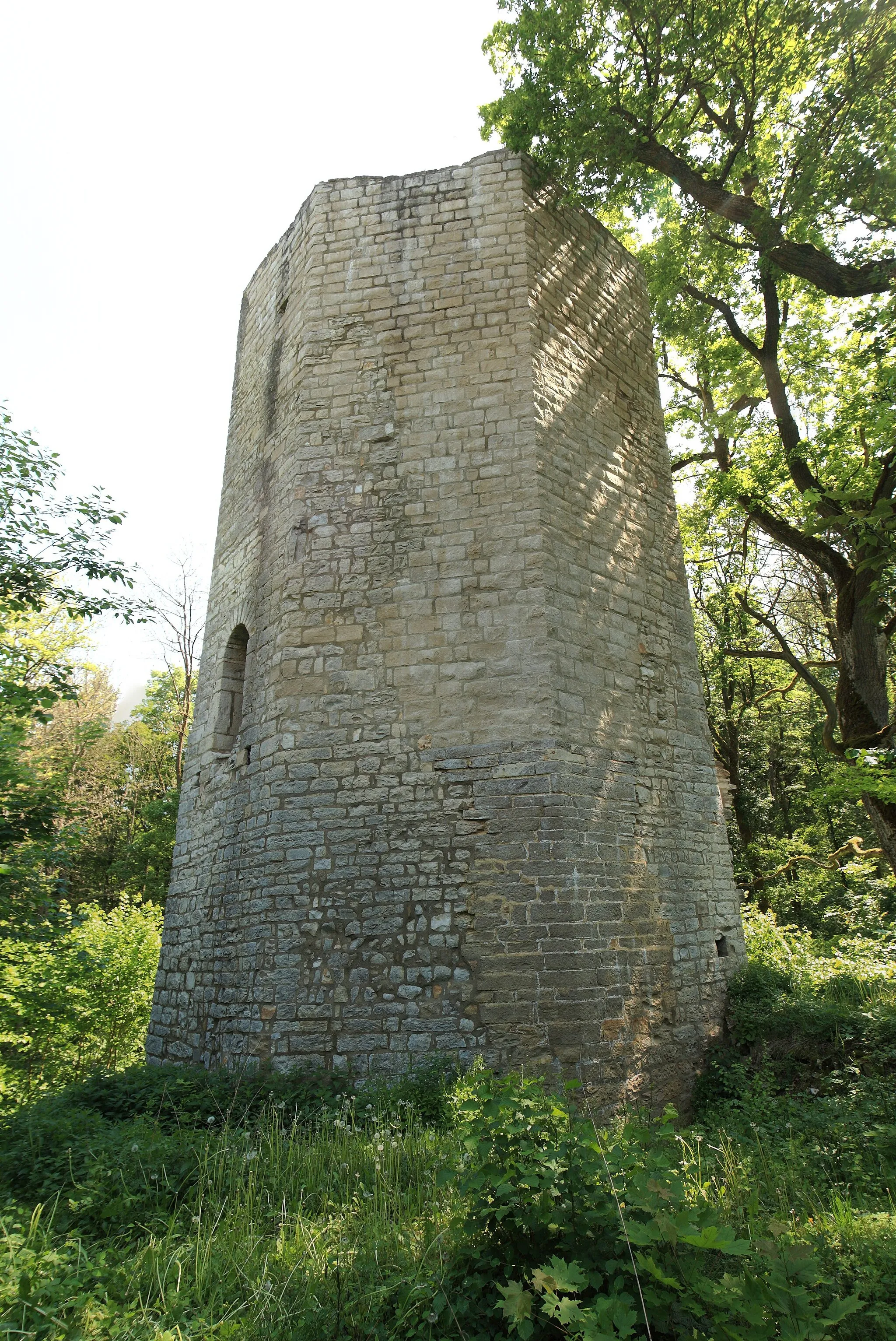 Photo showing: Burgruine Ebermannsdorf - Ansicht des achteckigen Wohnturmes