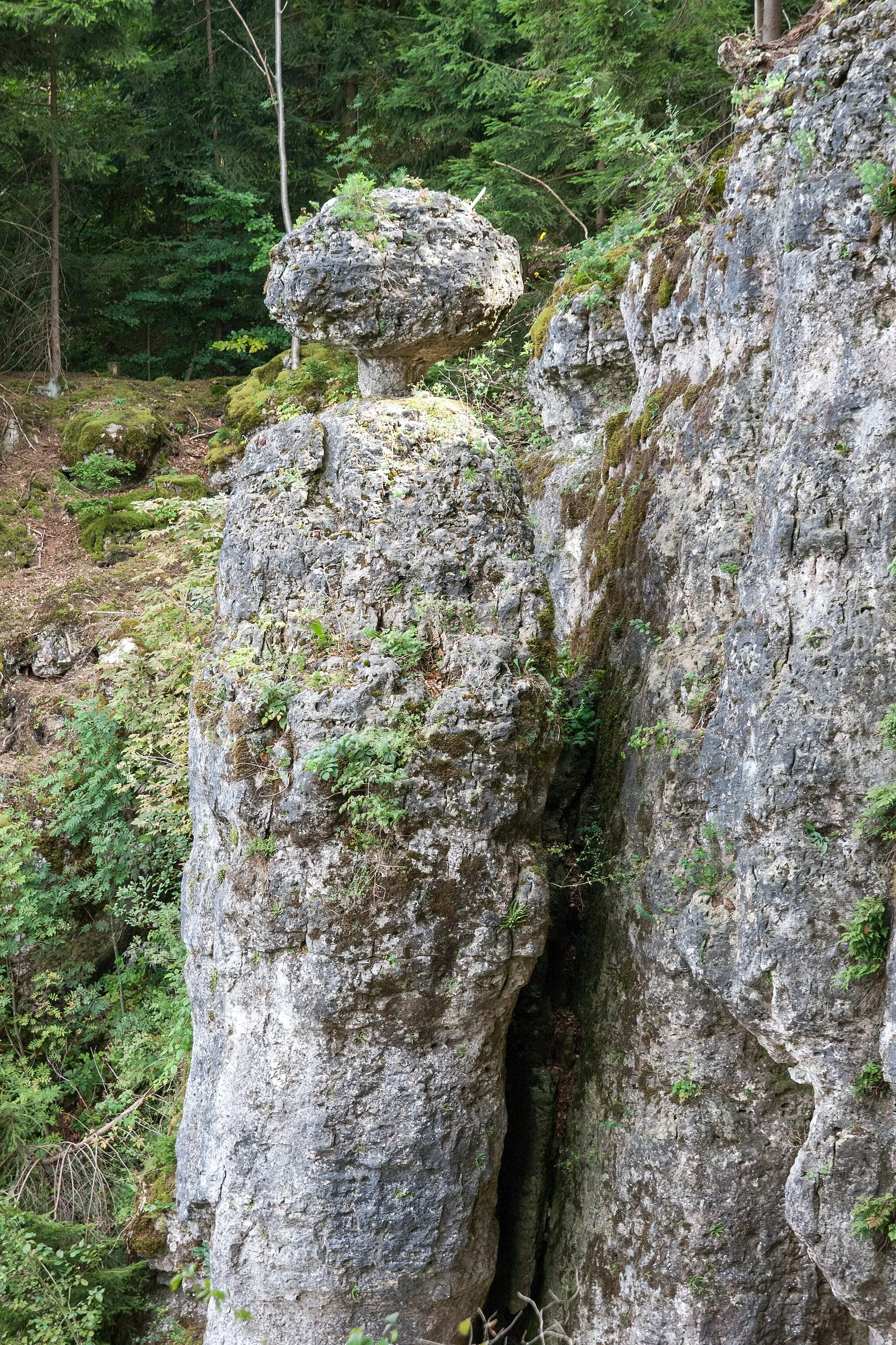 Photo showing: Felsturm, Schwammerl, St. Colomann, Velburg, Geotop