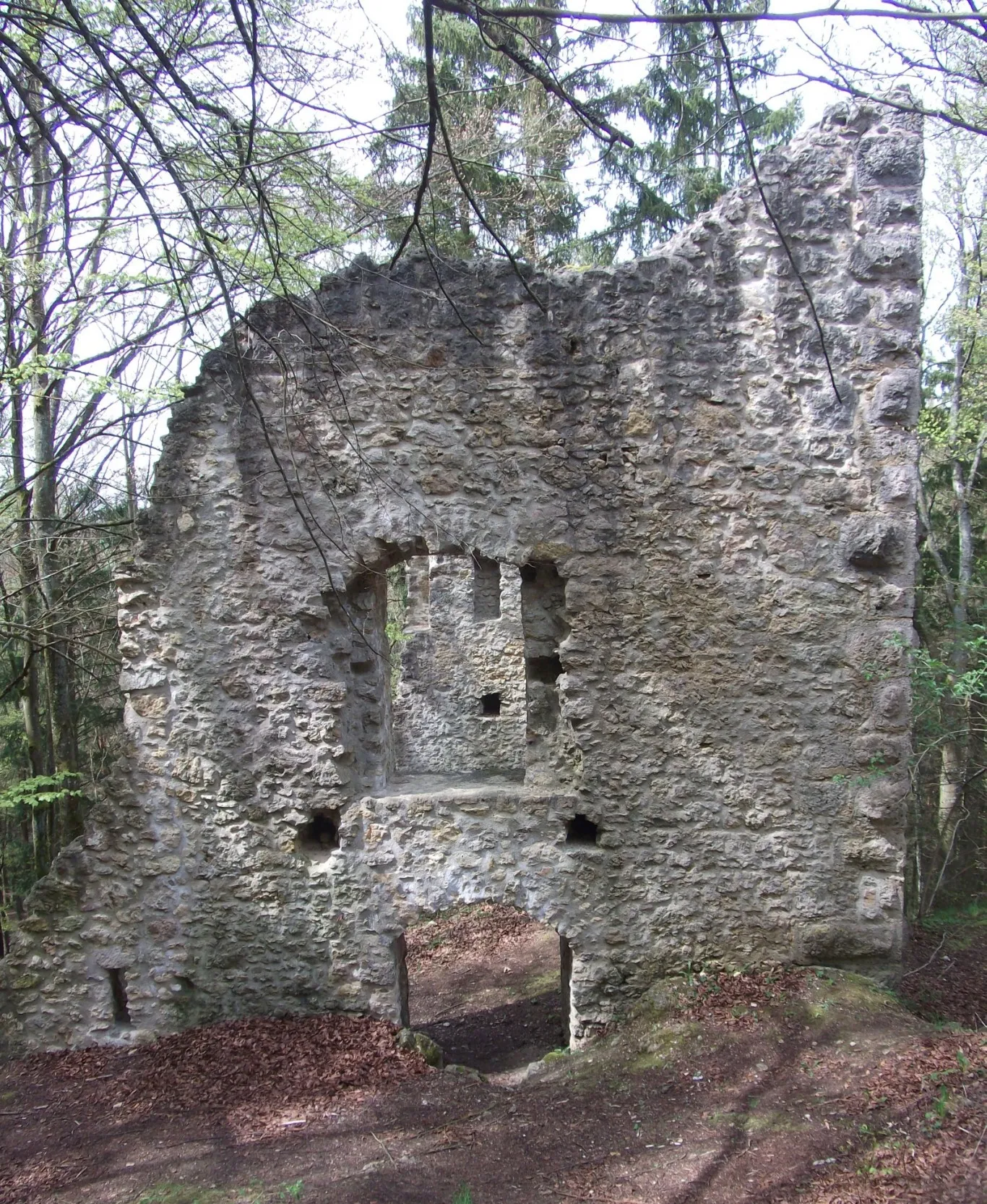 Photo showing: Wohnturm der Ruine Roßstein