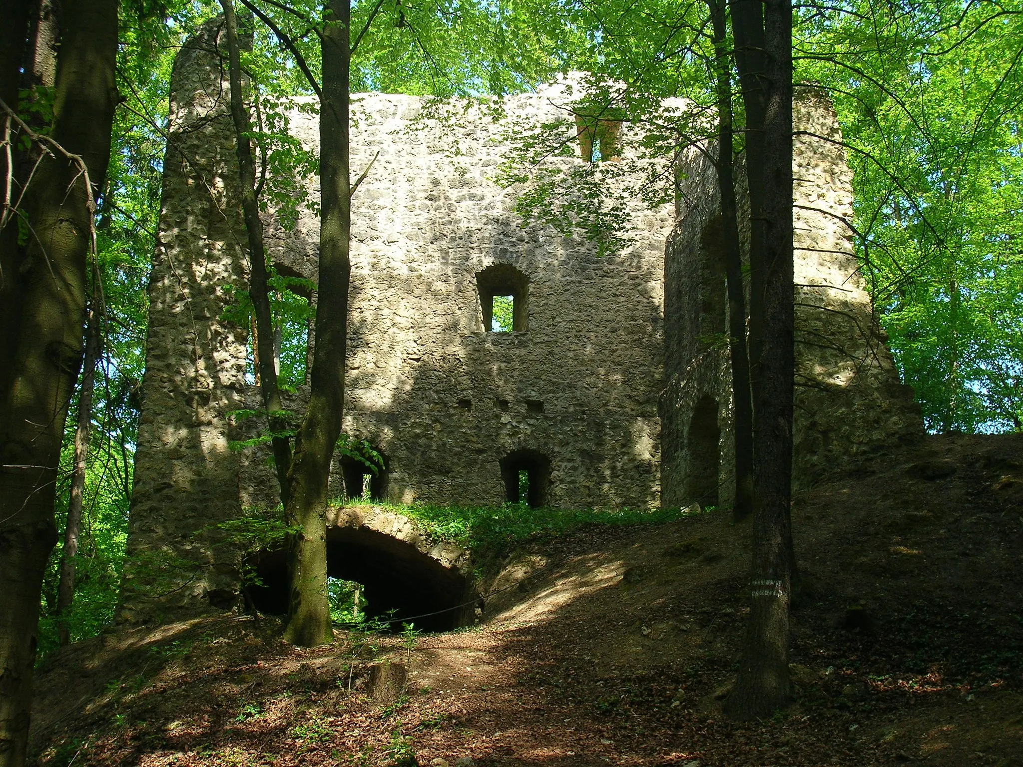 Photo showing: Der Wohnturm der Burgruine Roßstein von Südwesten