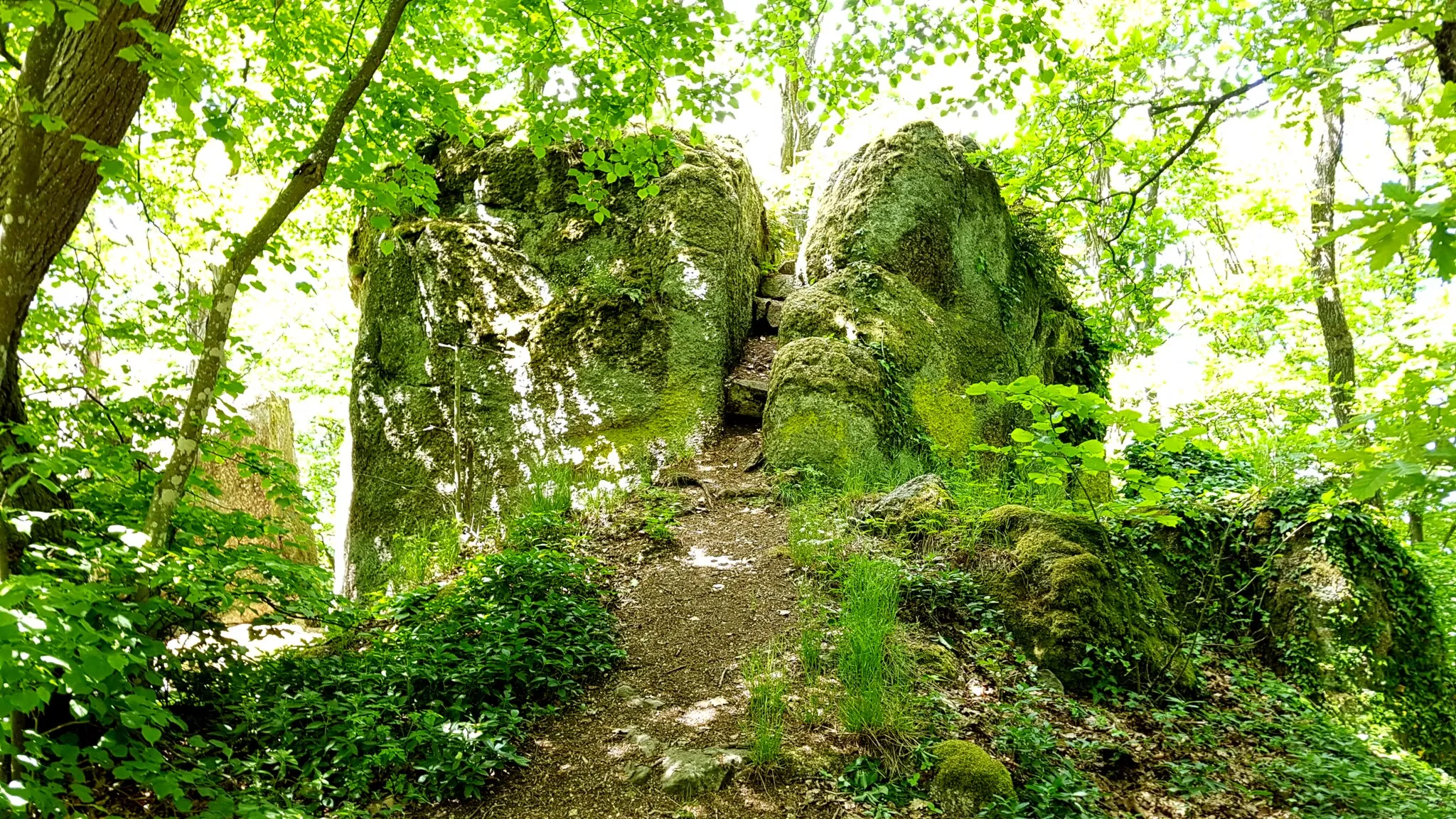 Photo showing: Granitfelsen Hoher Stein bei Kürn im Gemeindegebiet von Bernhardswald