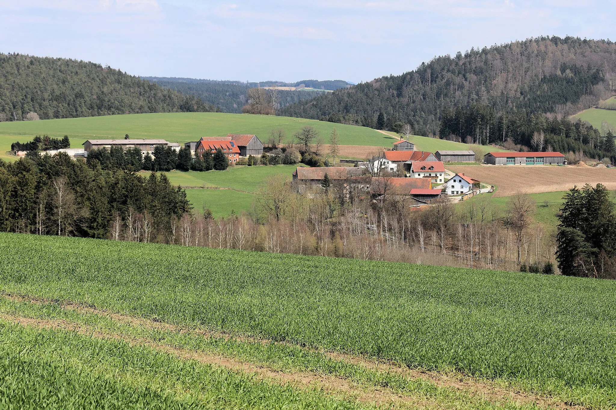 Photo showing: Kleßberg, Markt Leuchtenberg, Landkreis Neustadt an der Waldnaab, Oberpfalz, Bayern