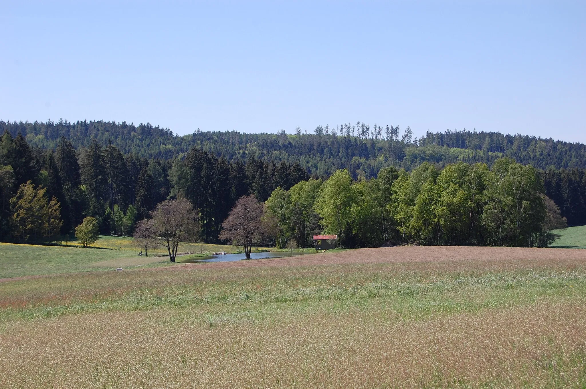Photo showing: Quellgebiet des Gewässers Gleiritsch bei Zeinried, Gemeinde Teunz, Landkreis Schwandorf, Oberpfalz, Bayern (2011)