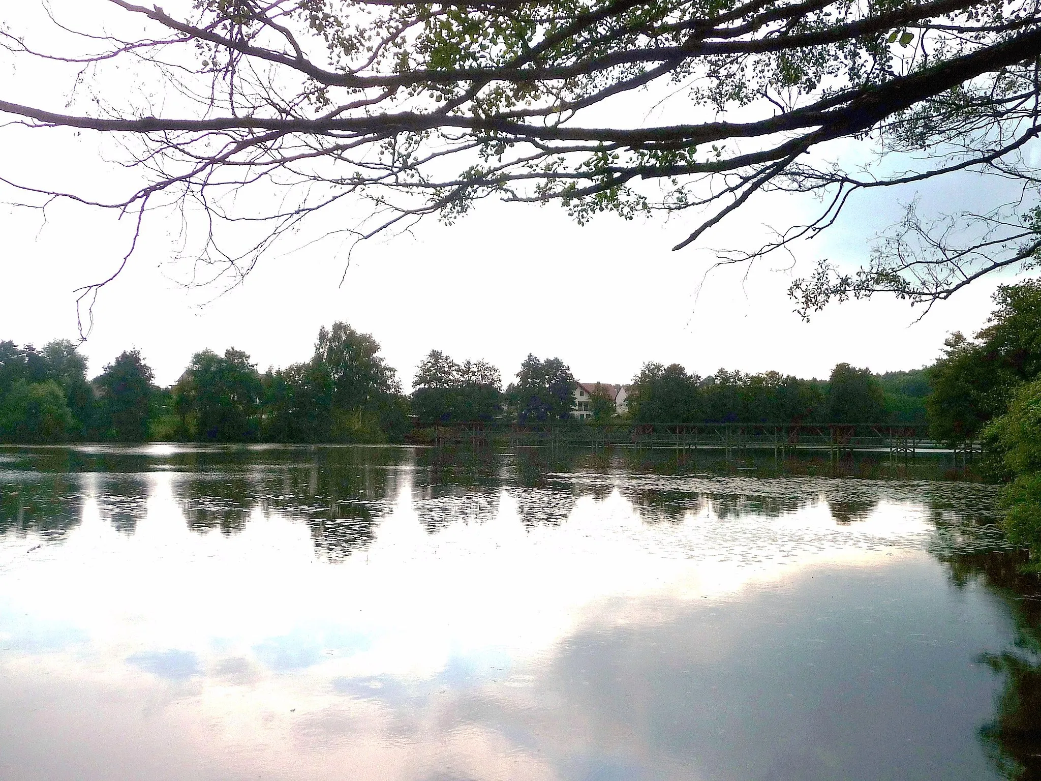 Photo showing: Der Beckenweiher bei Wiesenfelden