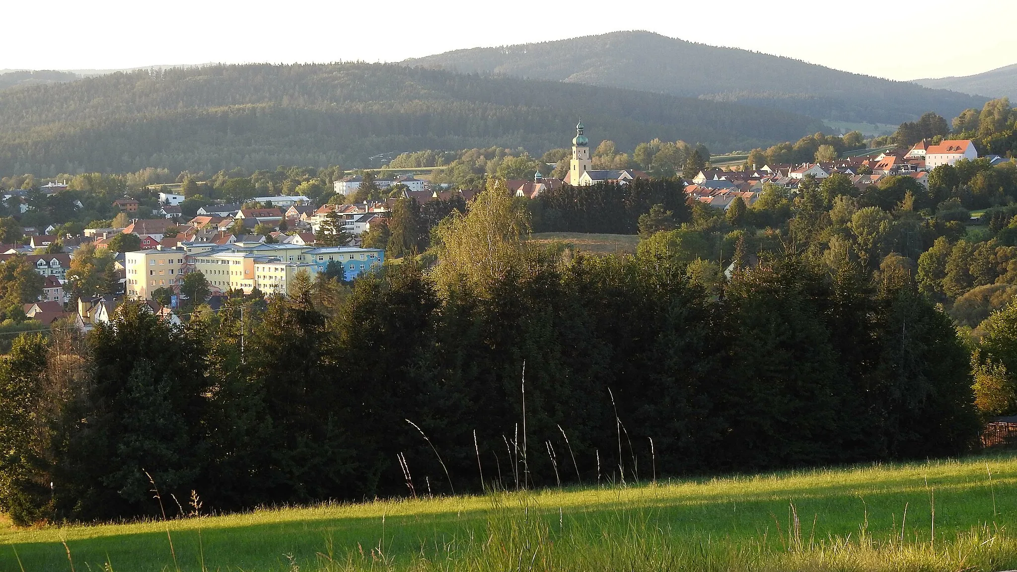 Photo showing: Waldmünchen von Süden