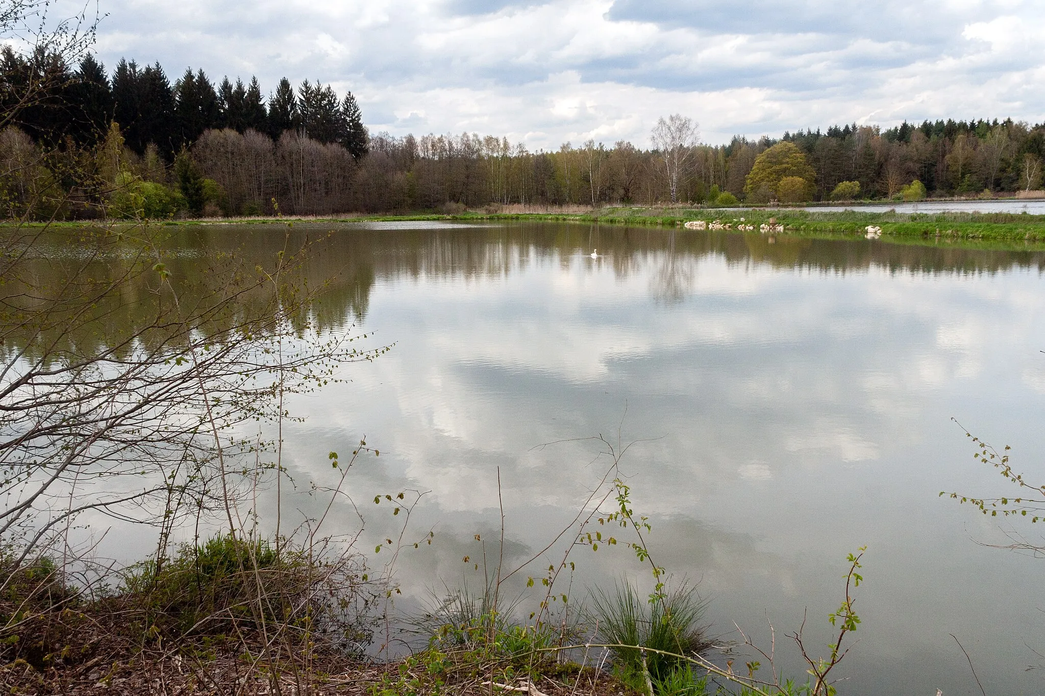 Photo showing: Dennenlohe Weiher, Dennenlohe, Pyrbaum