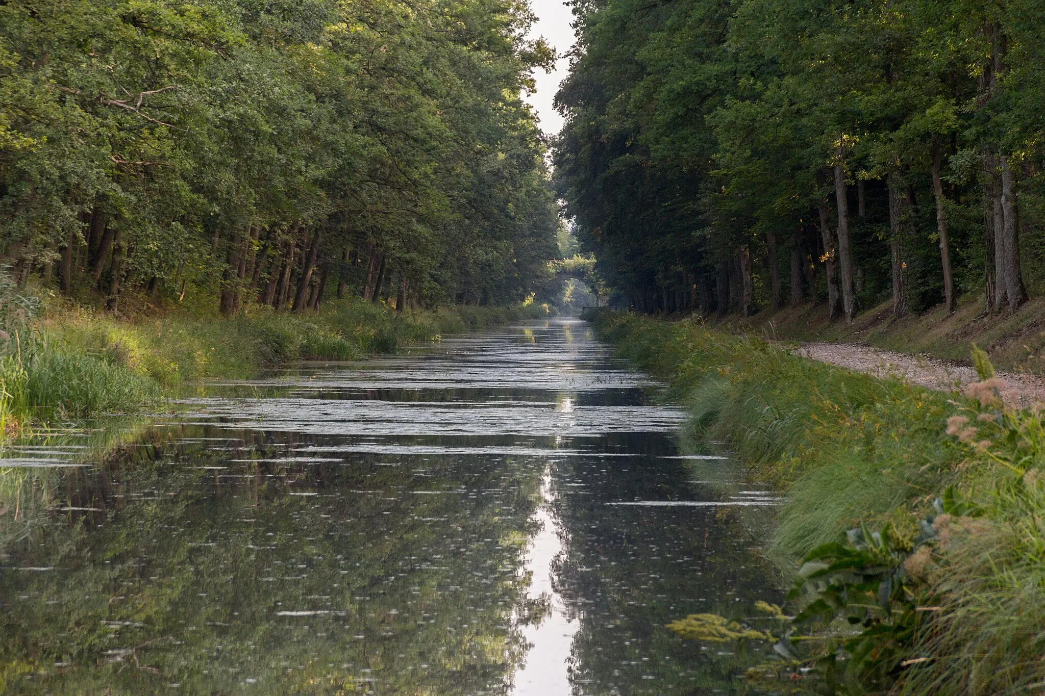 Photo showing: Ludwig-Donau-Main-Kanal, Buchberger Einschnitt