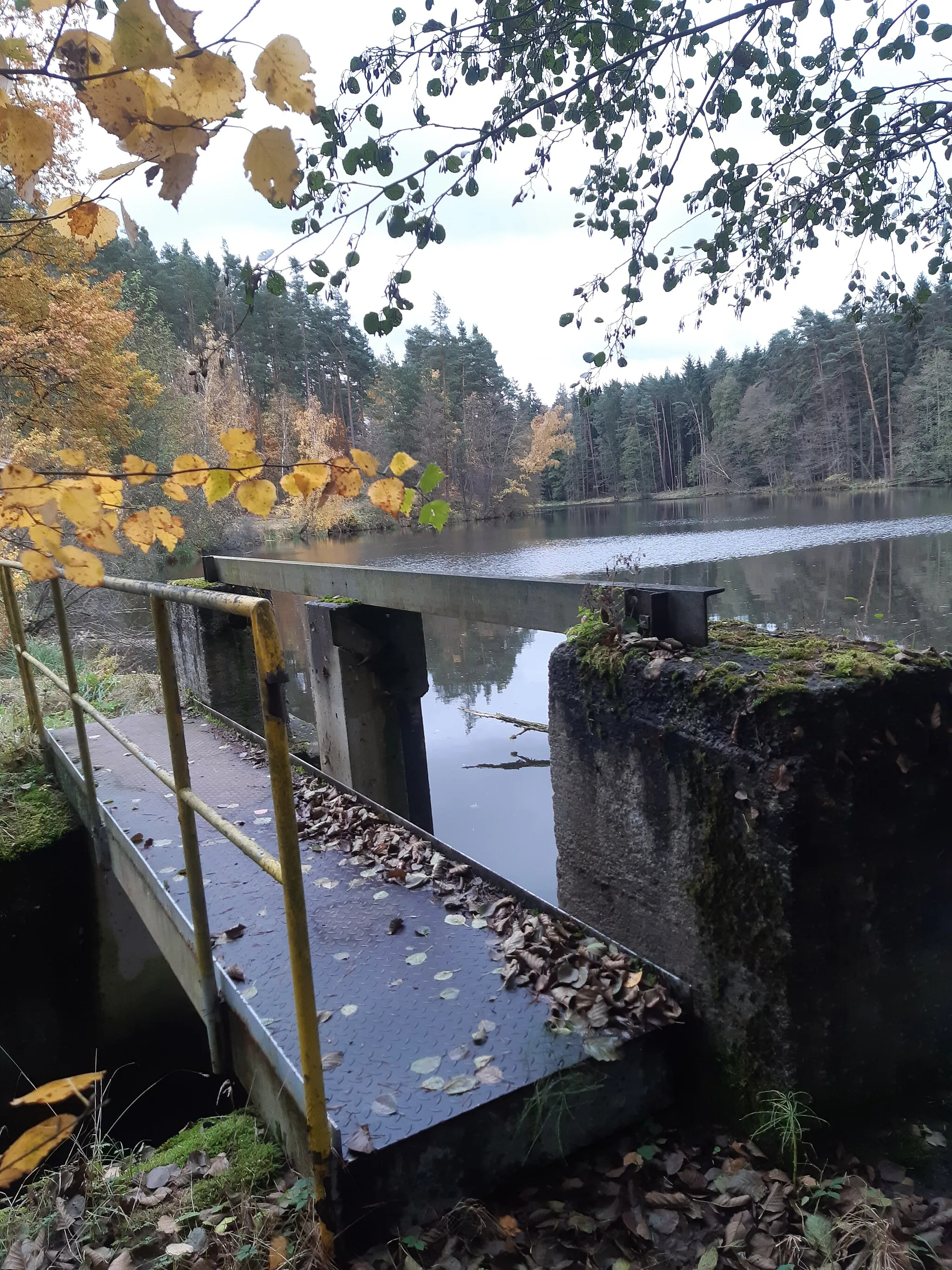 Photo showing: Auslauf des Schleifweiher bei der Glasschleife