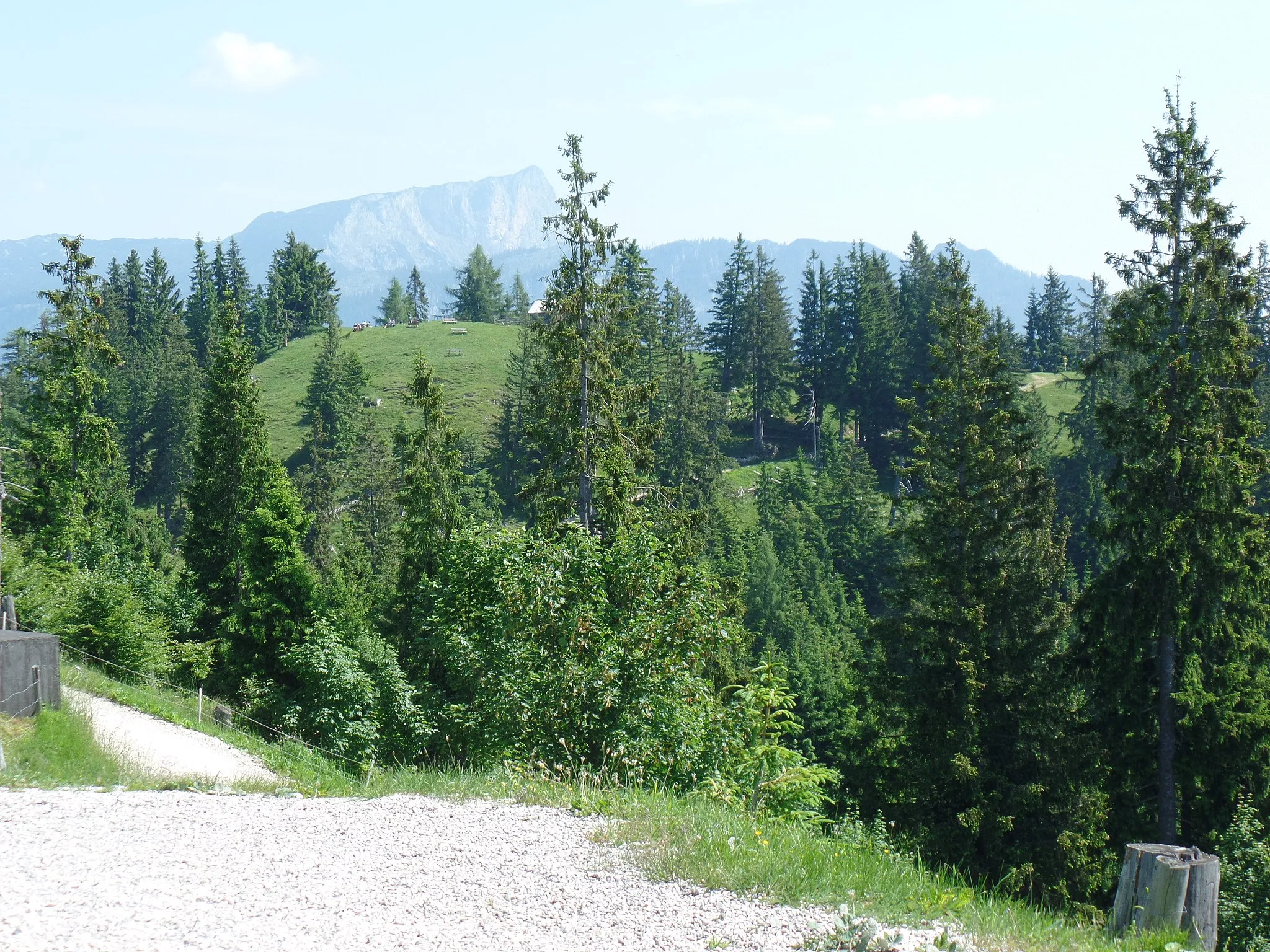 Photo showing: Blick von der Hirschkaser Alm auf den Toten Mann (im Hintergrund der Untersberg)