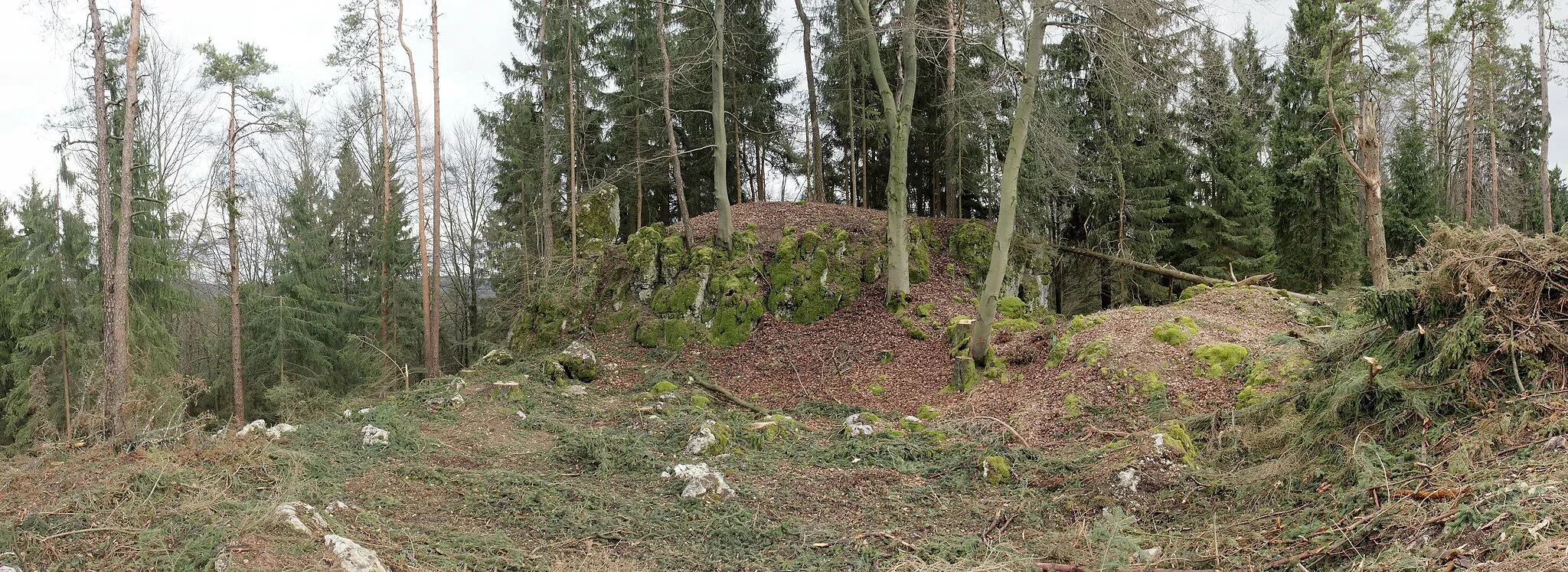 Photo showing: Burgstall Leherfels - Ansicht der Bergkuppe des Leherberges