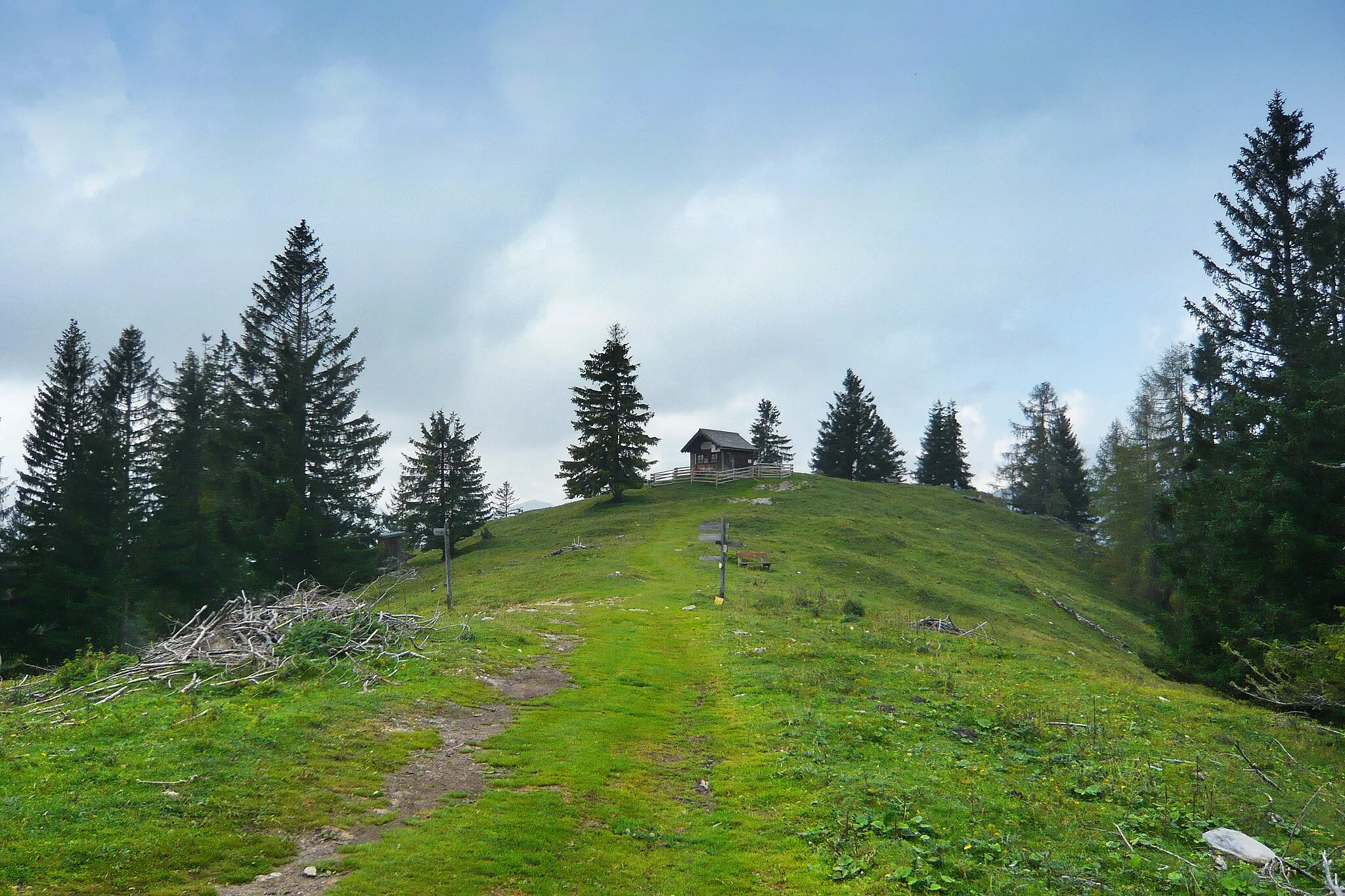 Photo showing: View to the peak of the mountain Toter Mann in southern Bavaria, Germany