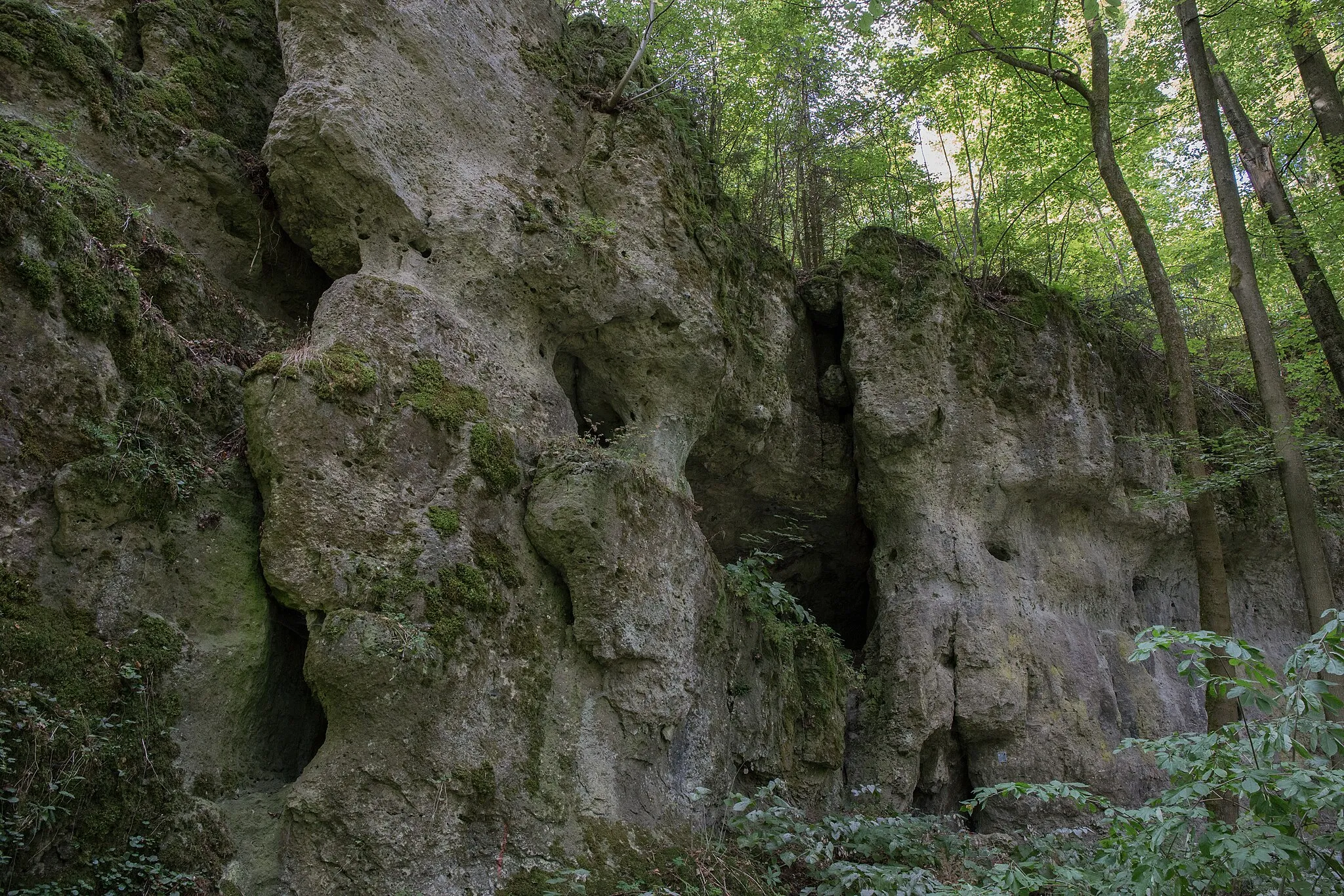 Photo showing: Höhlenportal in der Felswand