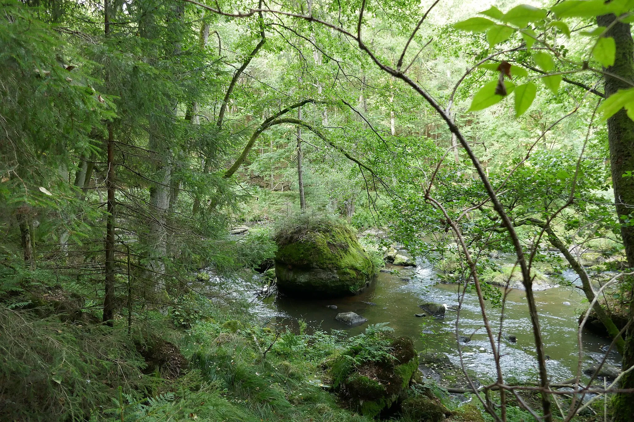 Photo showing: Das Waldnaabtal ist ein Naturschutzgebiet nahe Falkenberg im Oberpfälzer Landkreis Tirschenreuth in Bayern. Das Naturschutzgebiet ist etwa 182 ha großes Areal.