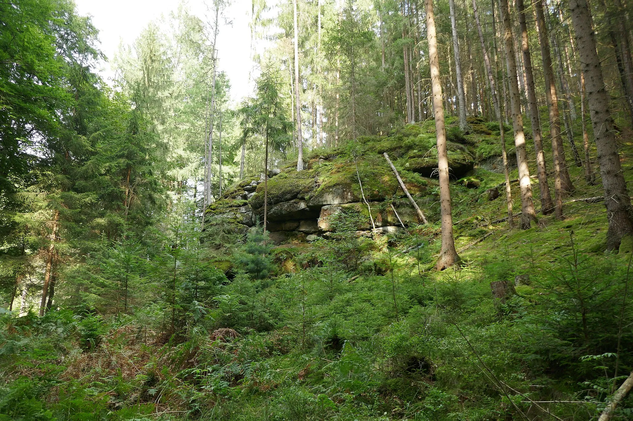Photo showing: Das Waldnaabtal ist ein Naturschutzgebiet nahe Falkenberg im Oberpfälzer Landkreis Tirschenreuth in Bayern. Das Naturschutzgebiet ist etwa 182 ha großes Areal.