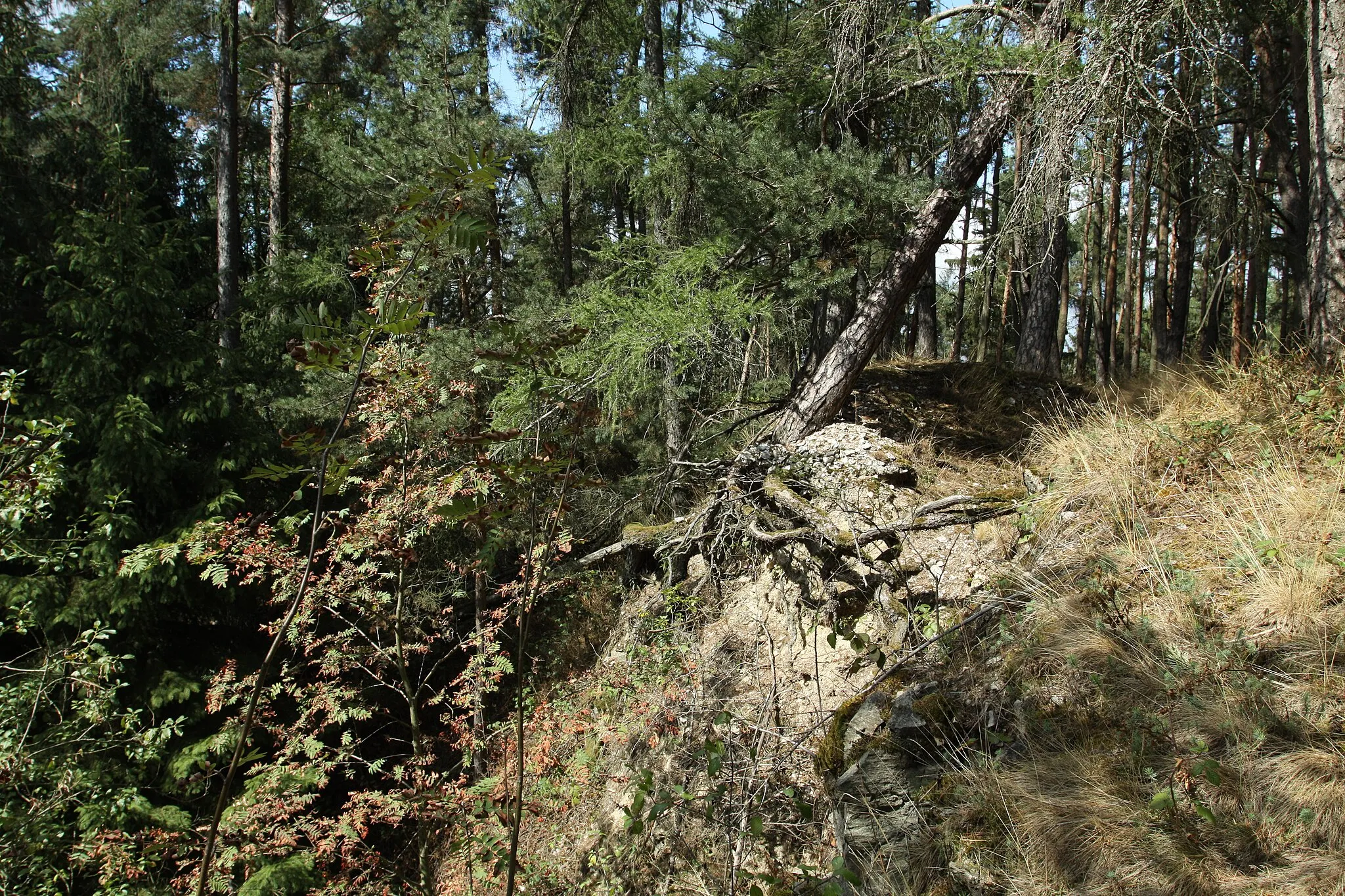 Photo showing: Natural monument Červený vrch near Otov village in Domažlice District, Czech Republic