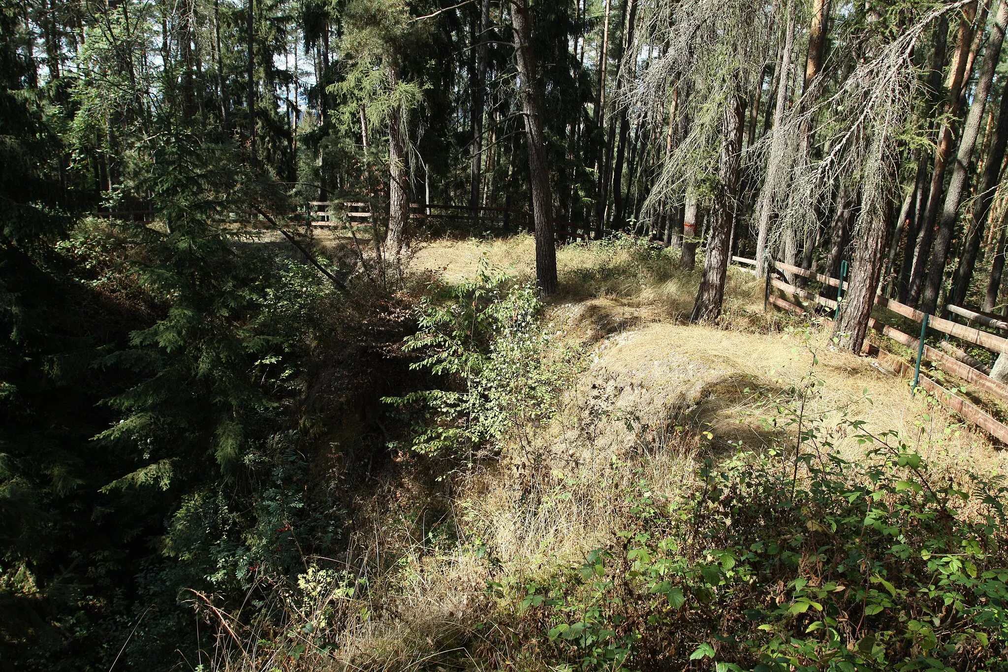 Photo showing: Natural monument Červený vrch near Otov village in Domažlice District, Czech Republic