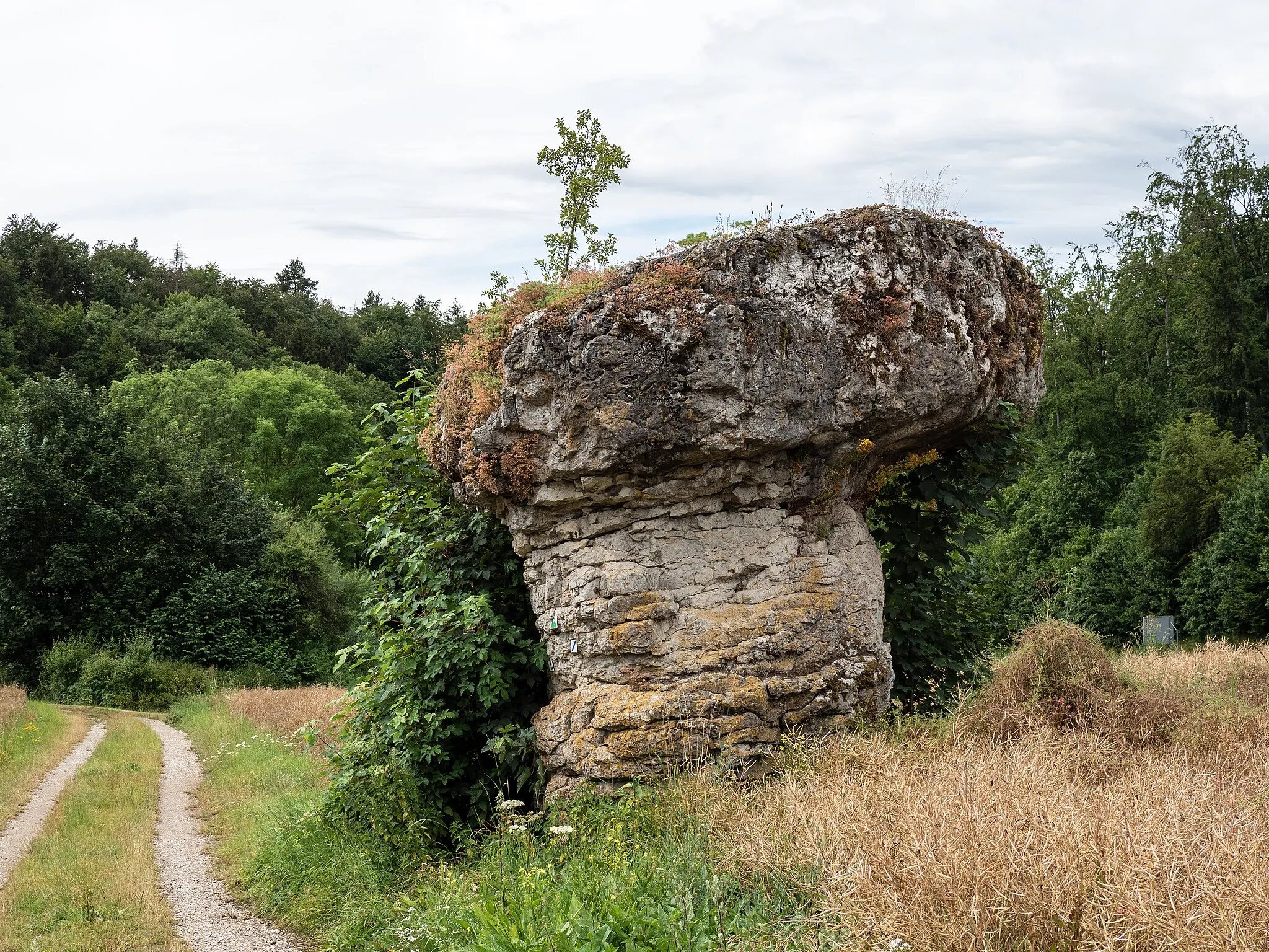 Photo showing: Kachelstein near Wohlmuthshüll in the Franconian Switzerland