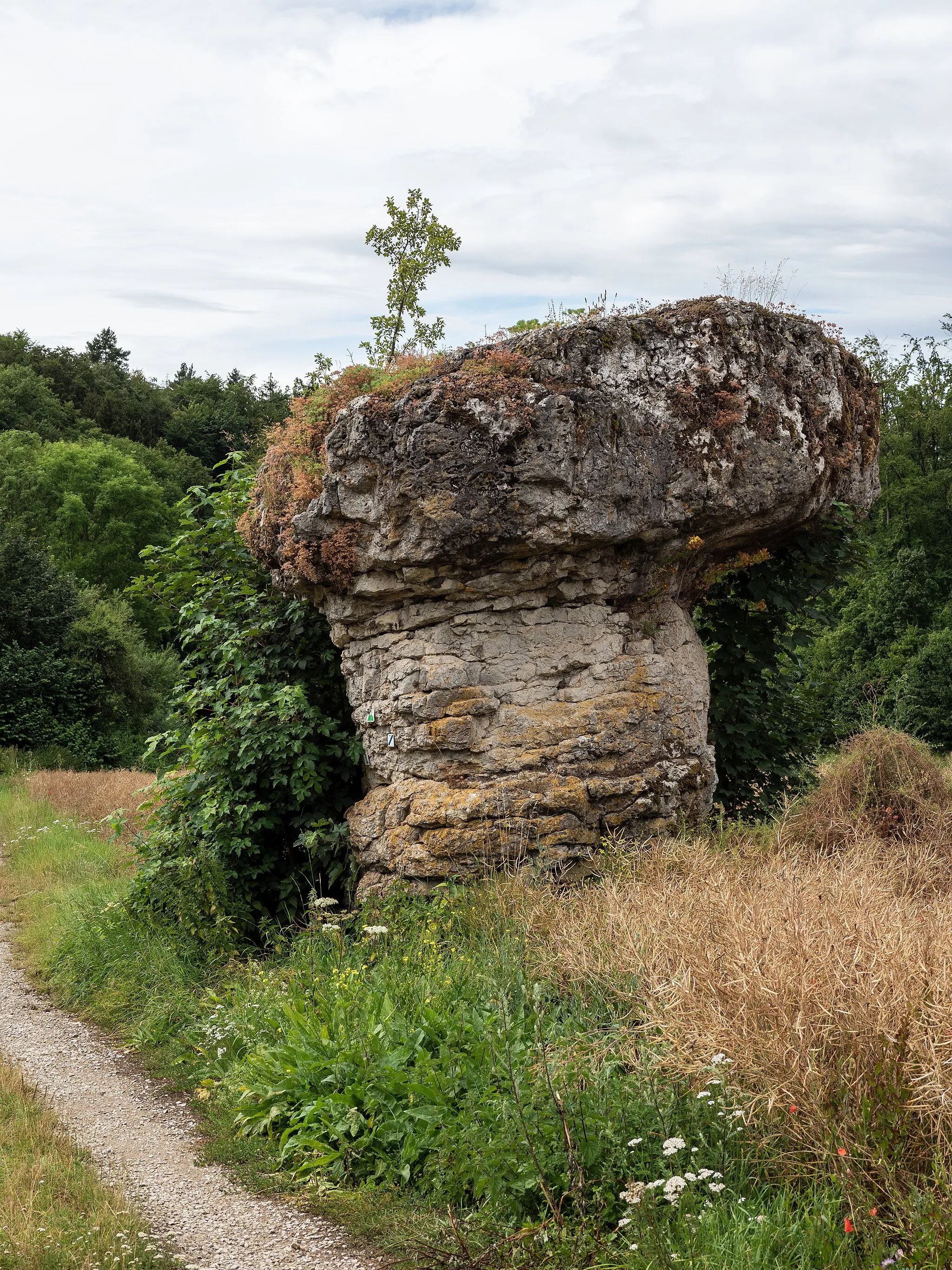 Photo showing: Kachelstein near Wohlmuthshüll in the Franconian Switzerland