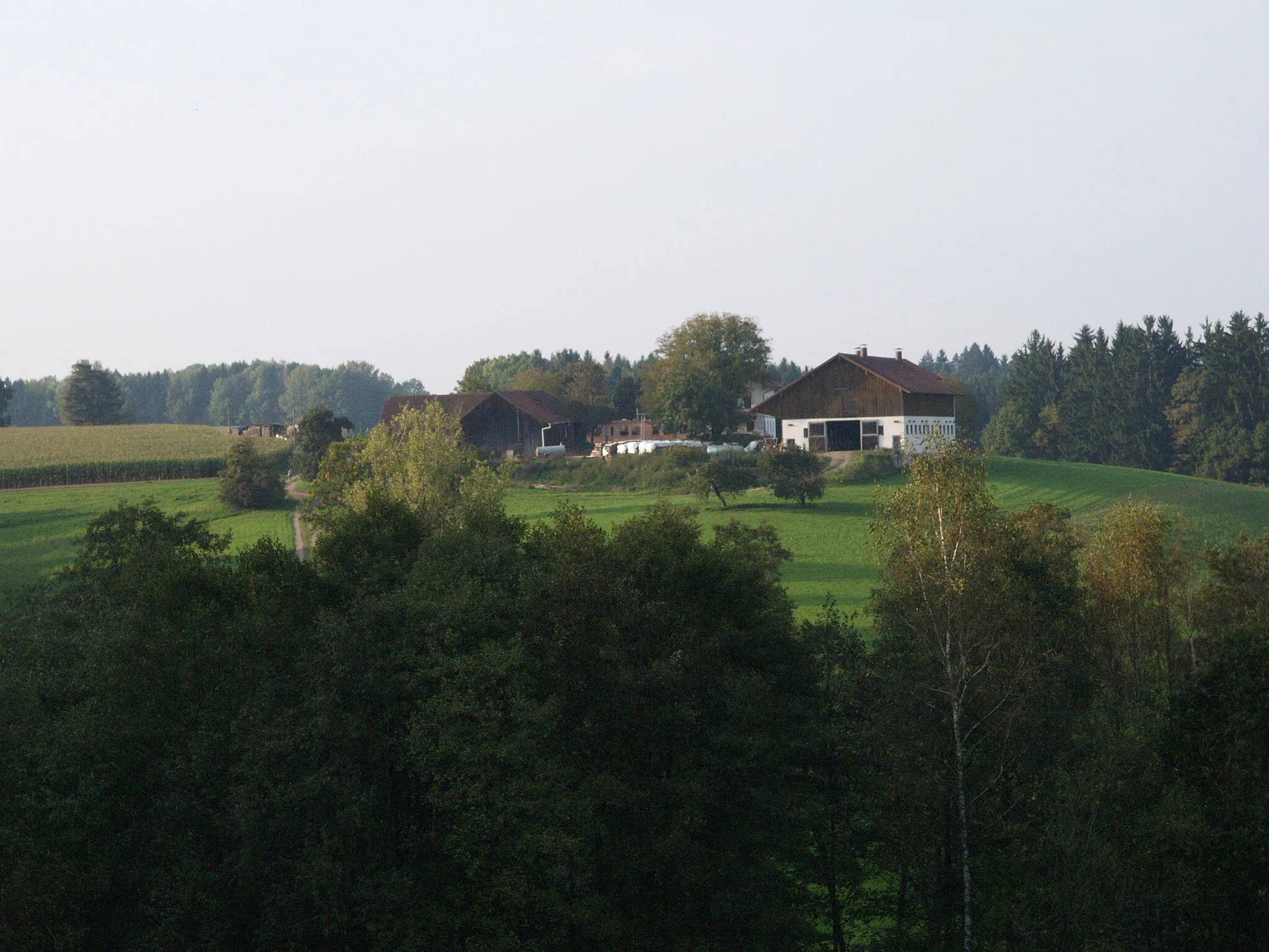 Photo showing: Schindlfurth, Gemeinde Haselbach