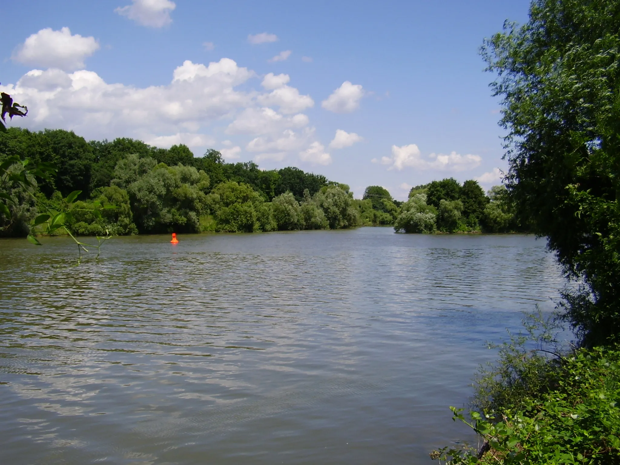 Photo showing: Mündung der Jagst in den Neckar.