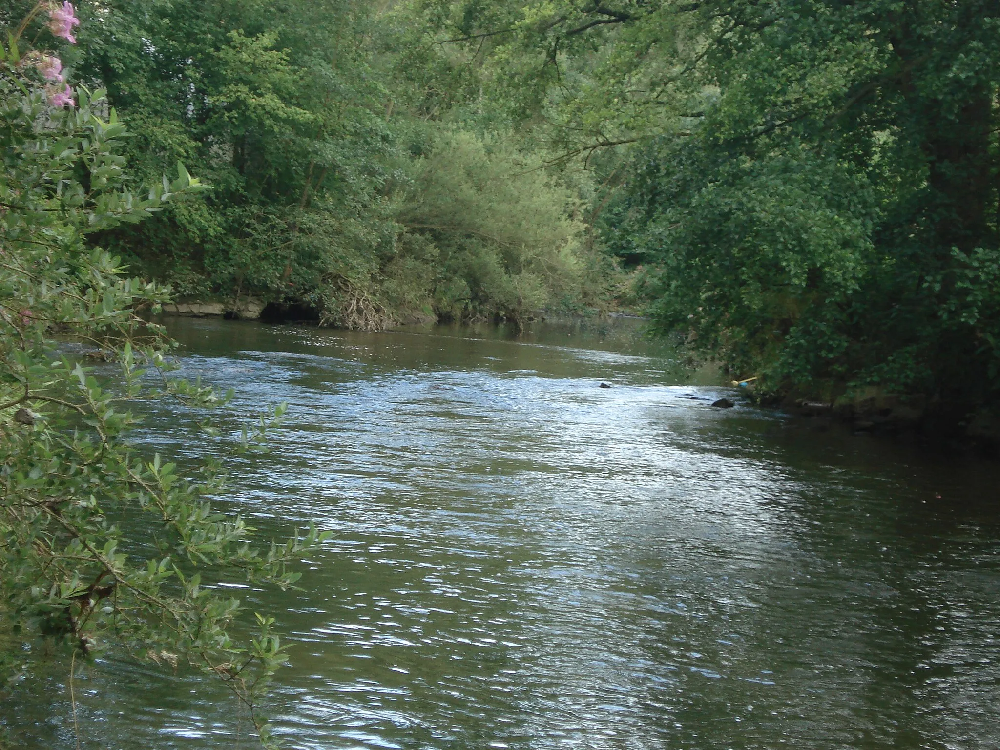 Photo showing: Mündung der Eschach (hinten rechts) in den Neckar (v. hinten links n. vorne)