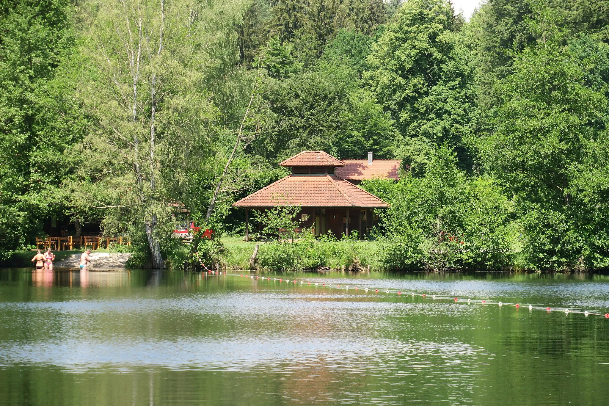 Photo showing: Schöntalweiher in Ludwigswinkel (Pfalz)